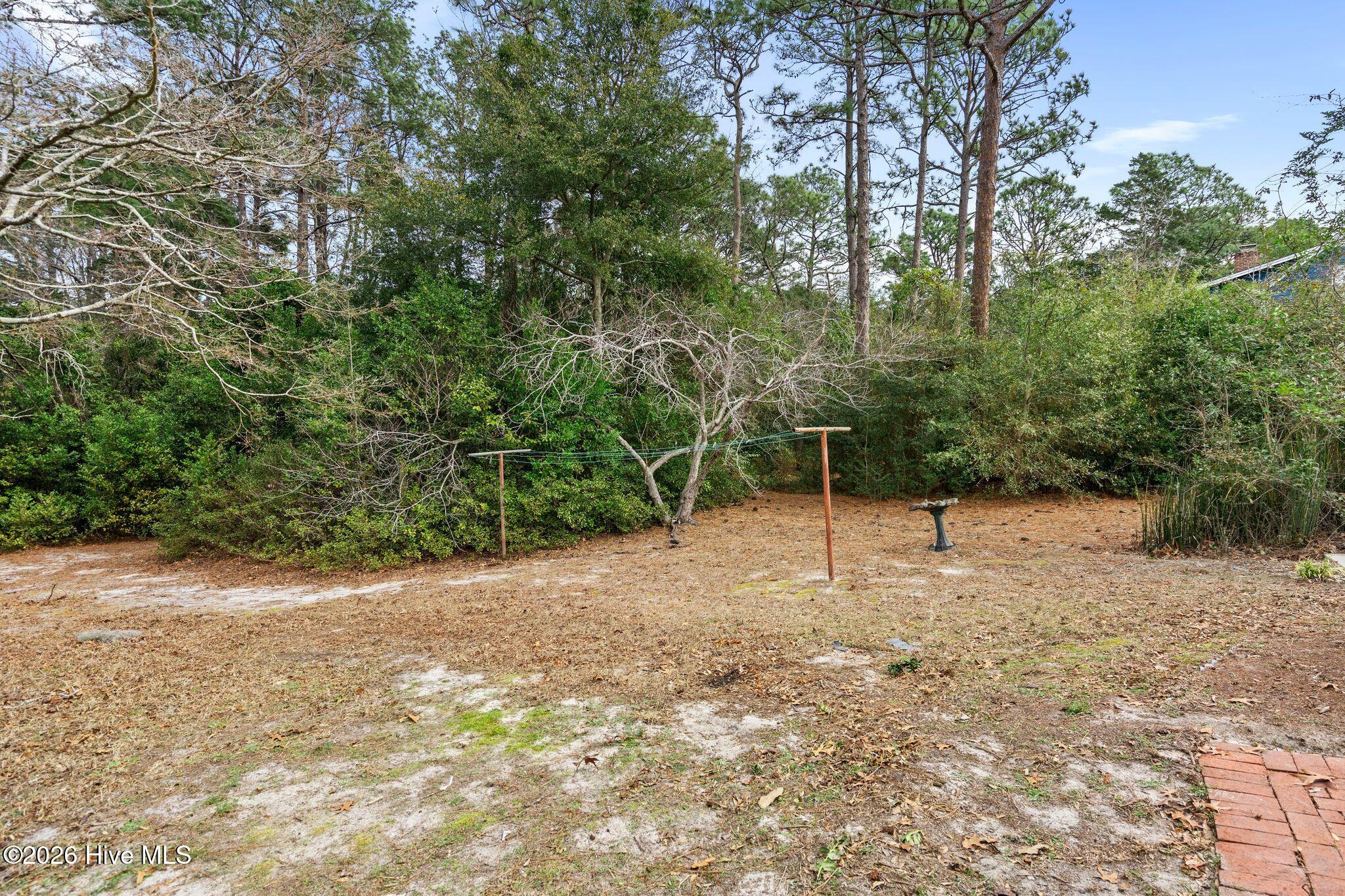 100555910 | Photo 49