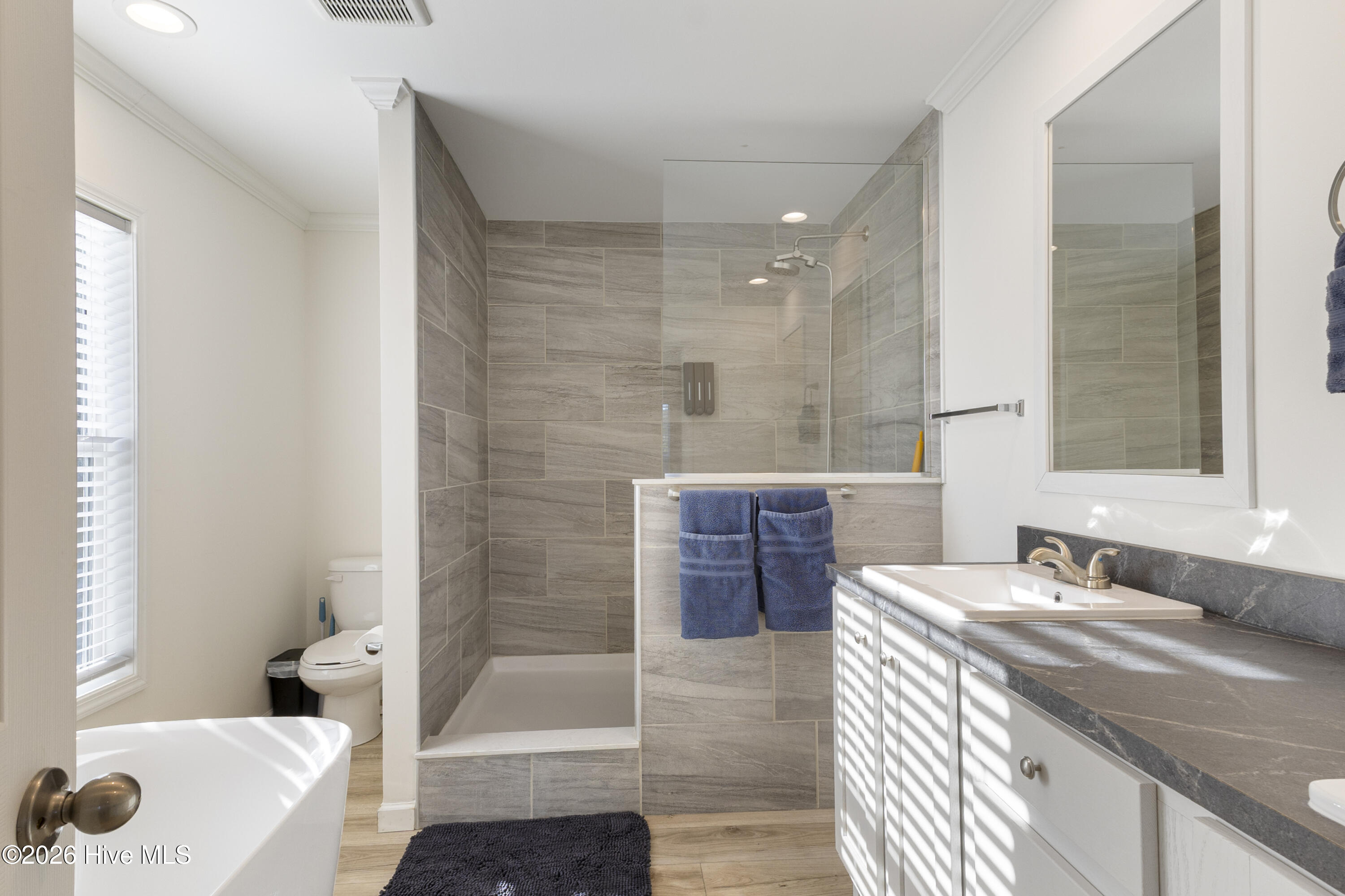 100552781 | Photo 16