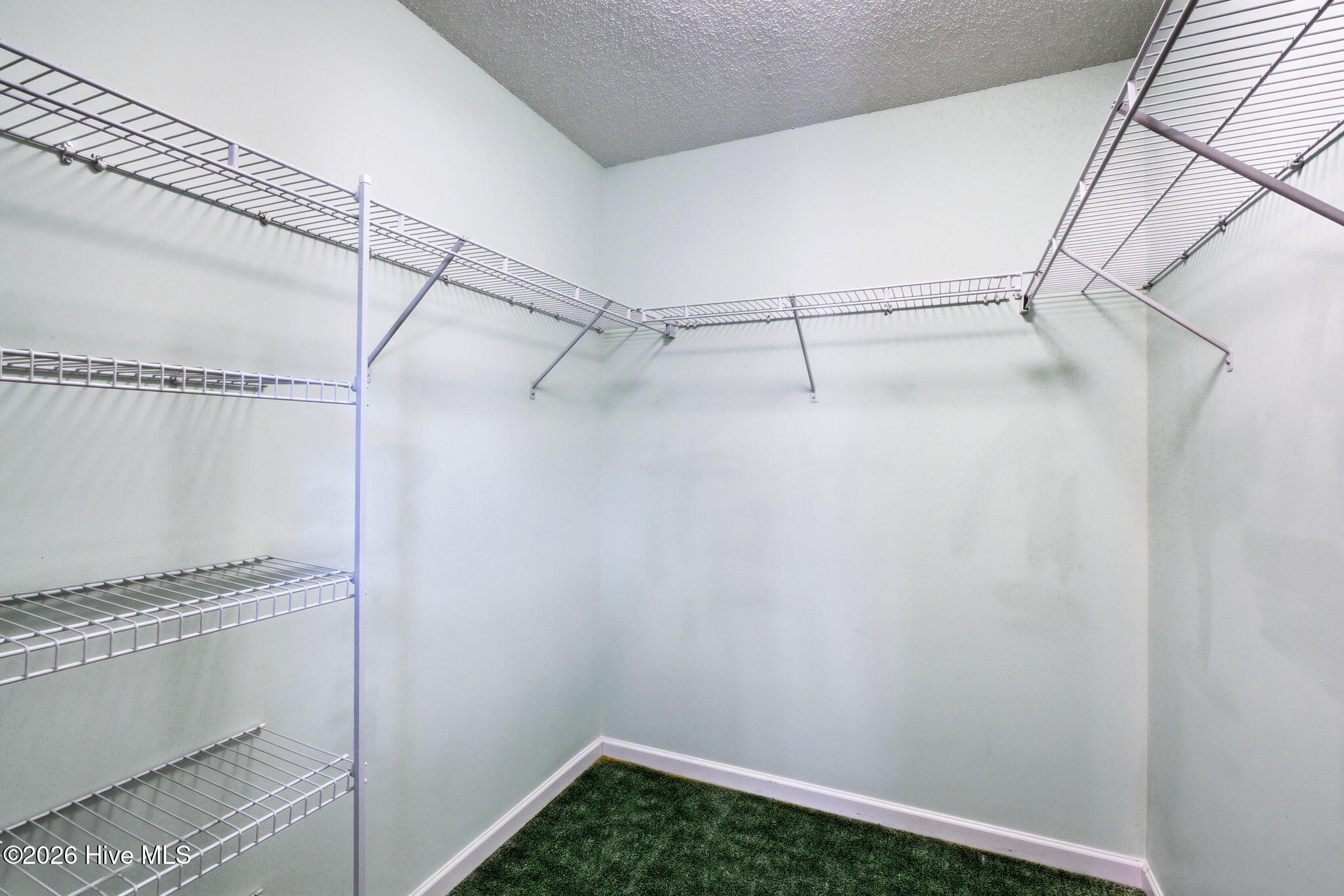 100564693 | Photo 21