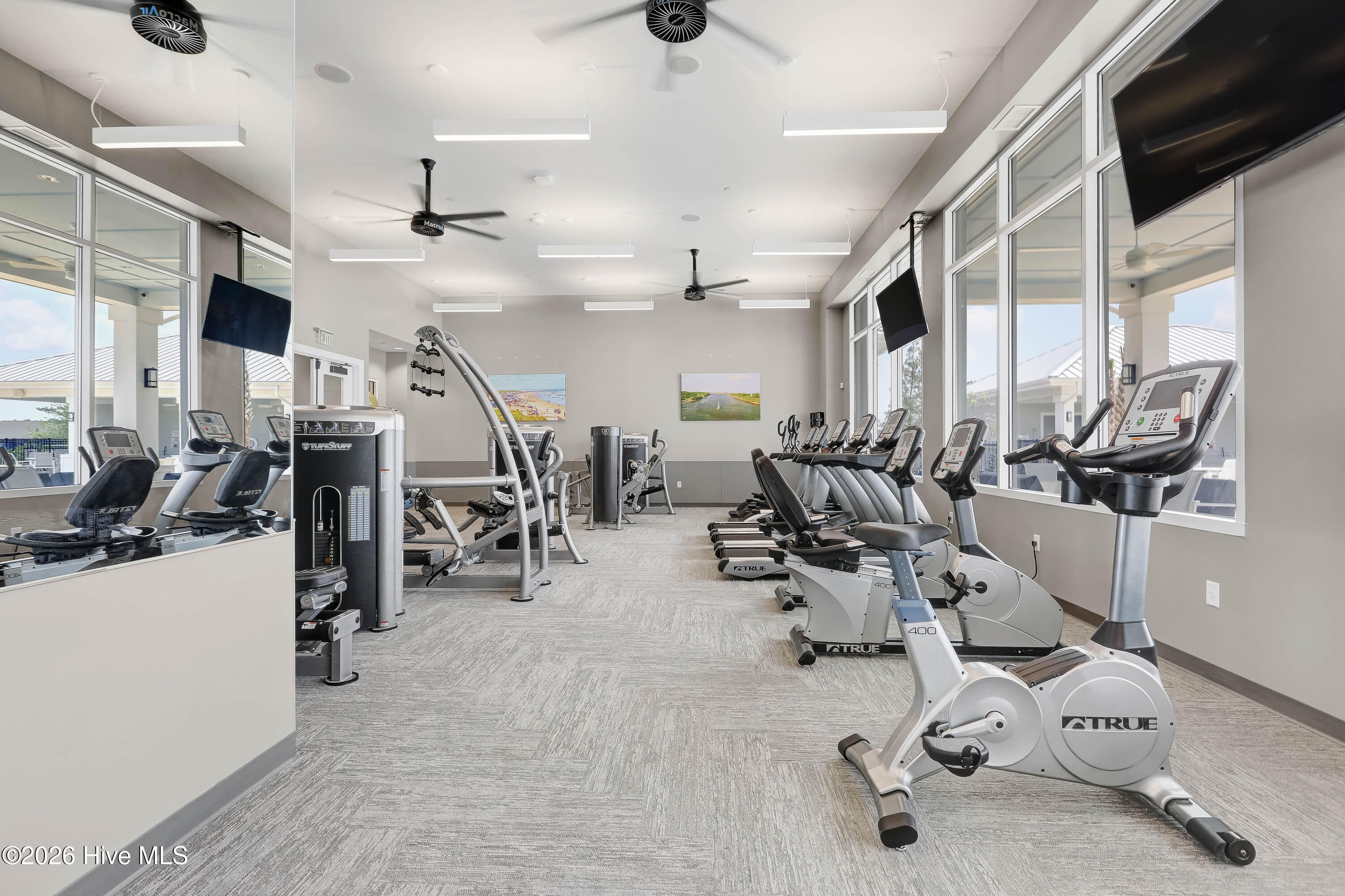 100558115 | Photo 37