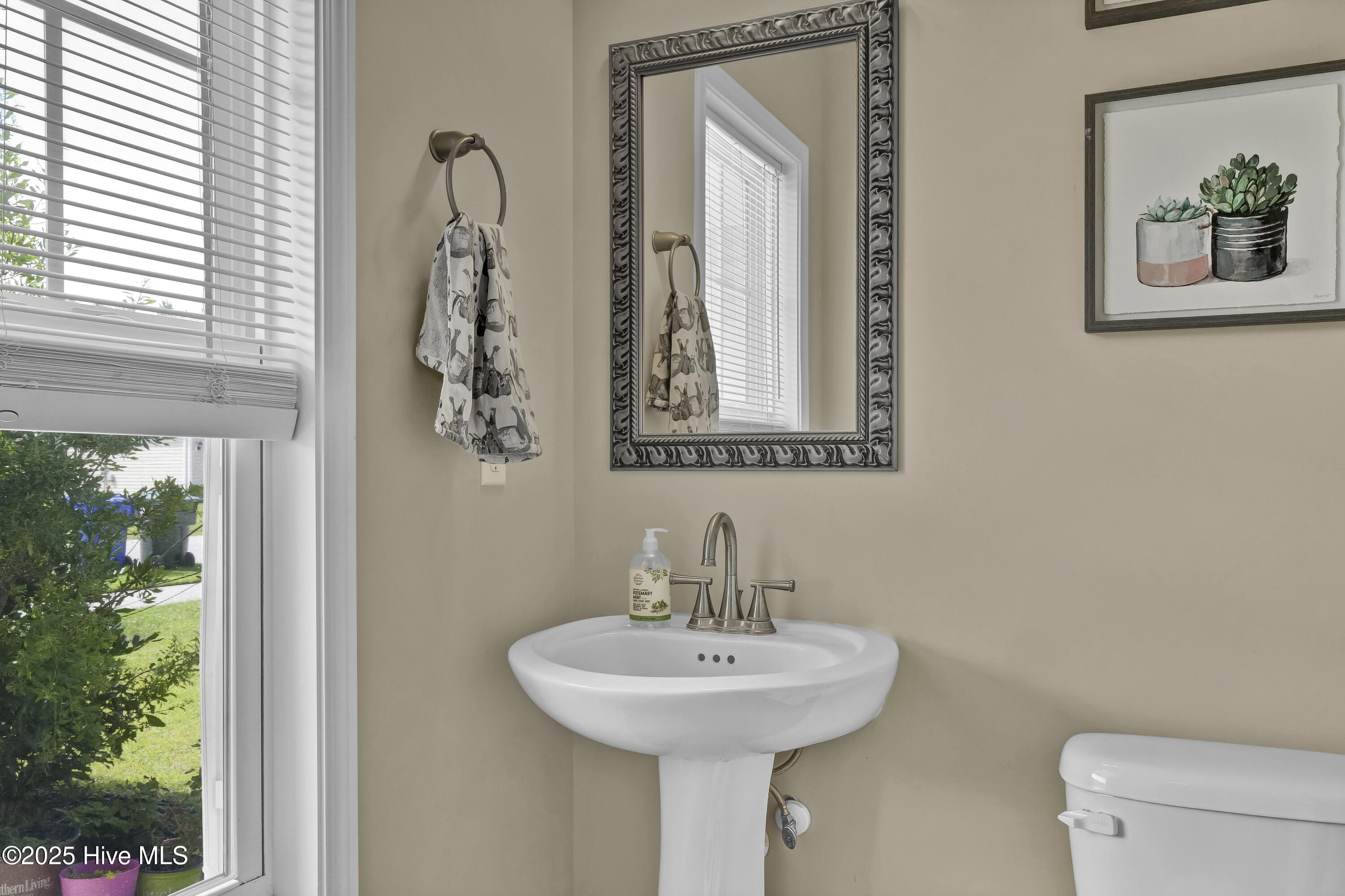 100513564 | Photo 13