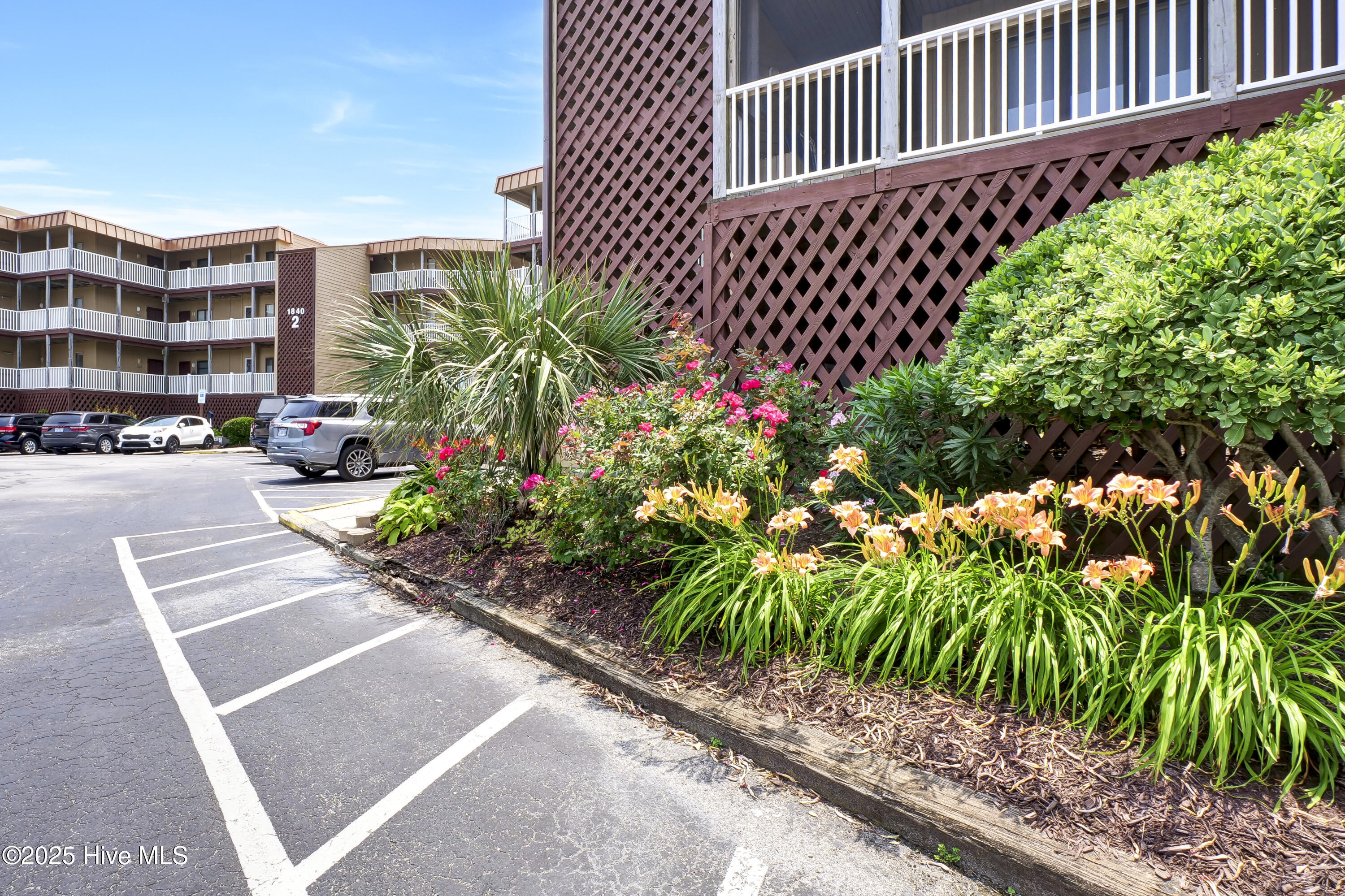 100495558 | Photo 32