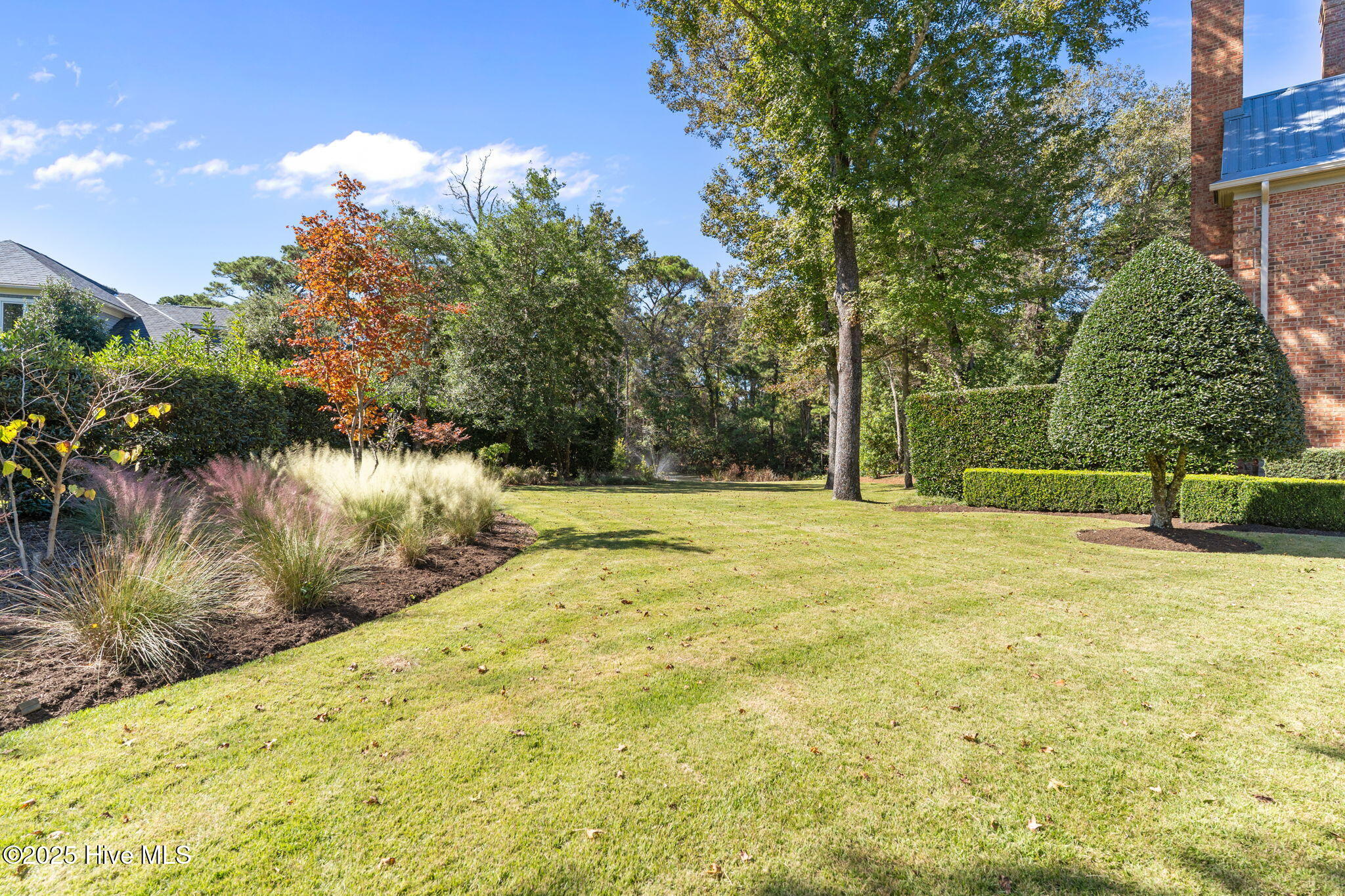 100537269 | Photo 20