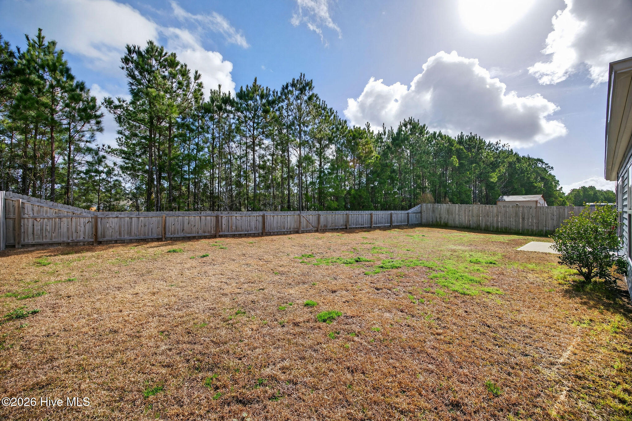 100560192 | Photo 32