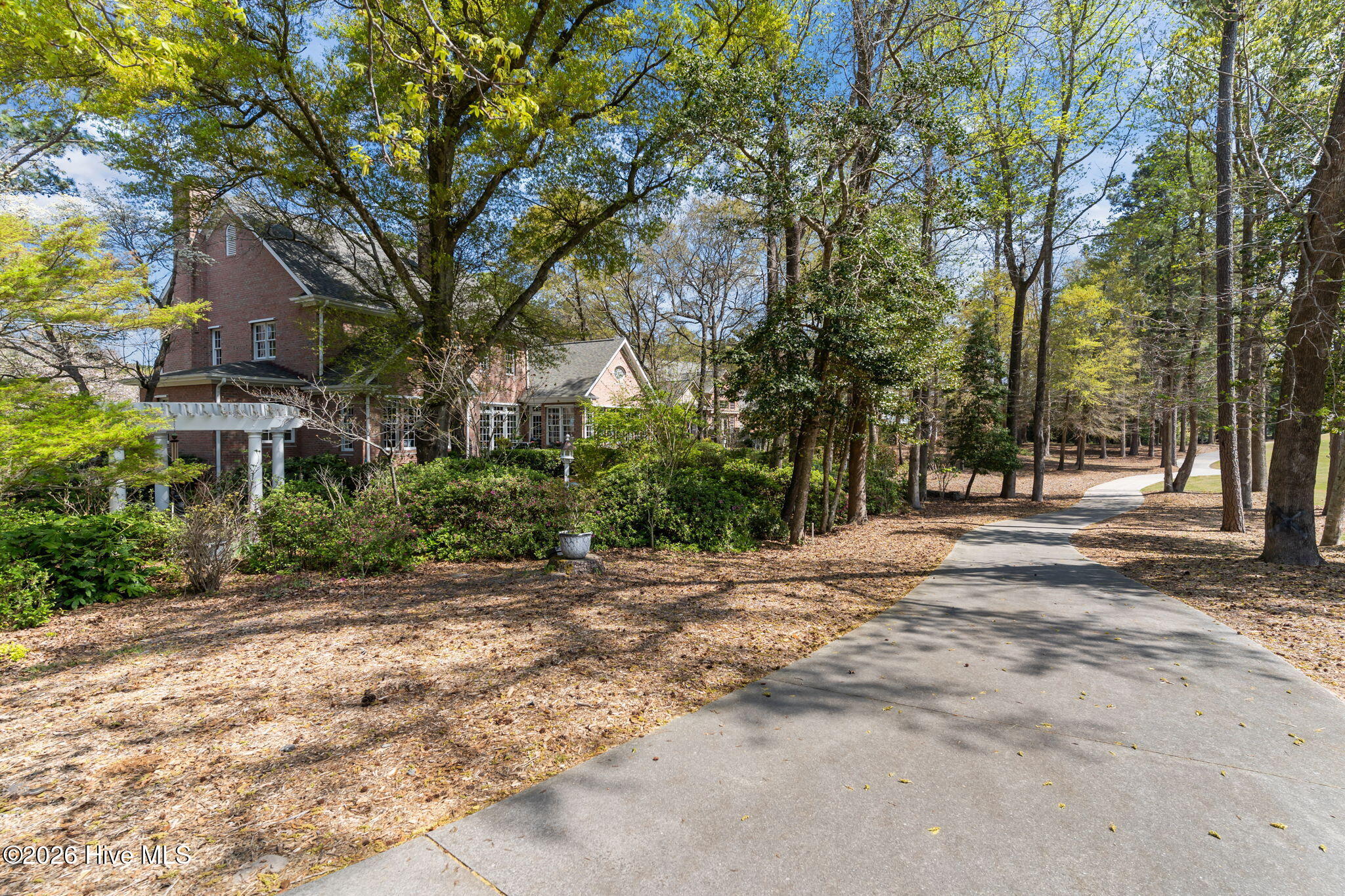 100564418 | Photo 51