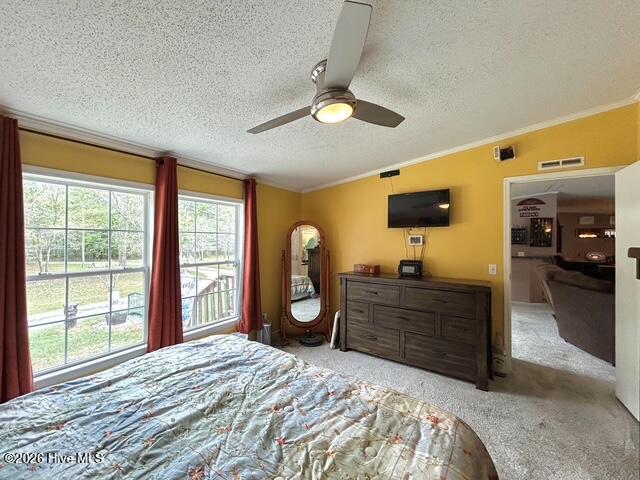 100566420 | Photo 51