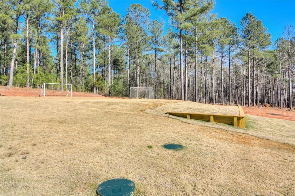 1076 Providence Ferry Road, Lincolnton, GA 30817 Listing Photo  55