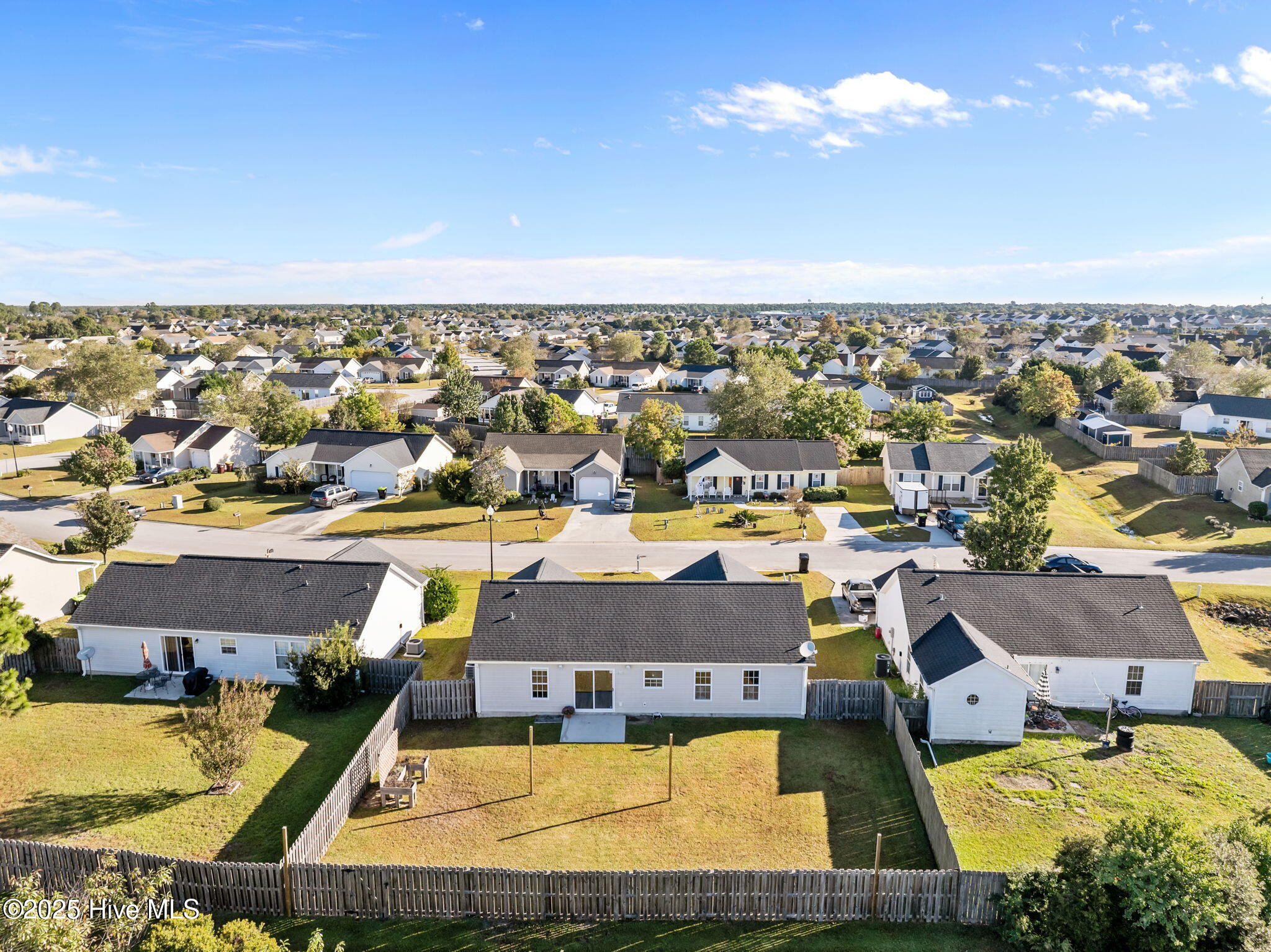 100537521 | Photo 39