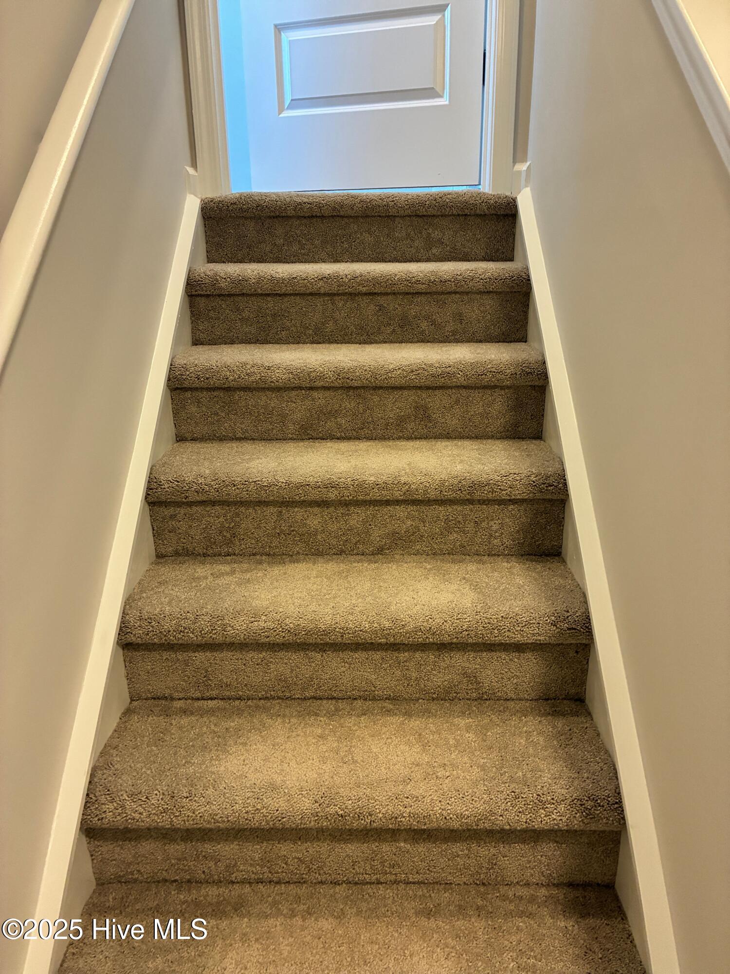 100545572 | Photo 25