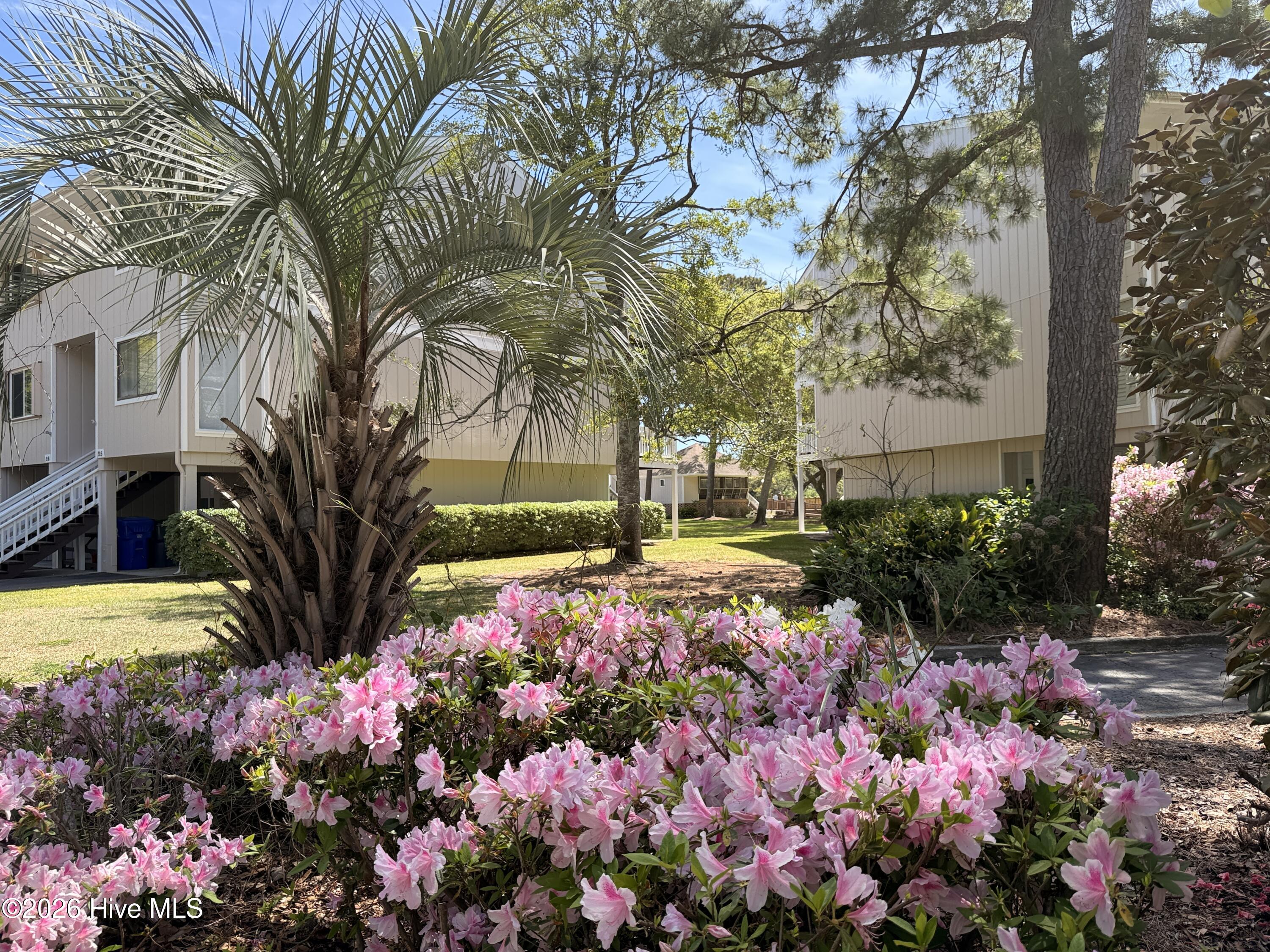 100570413 | Photo 53