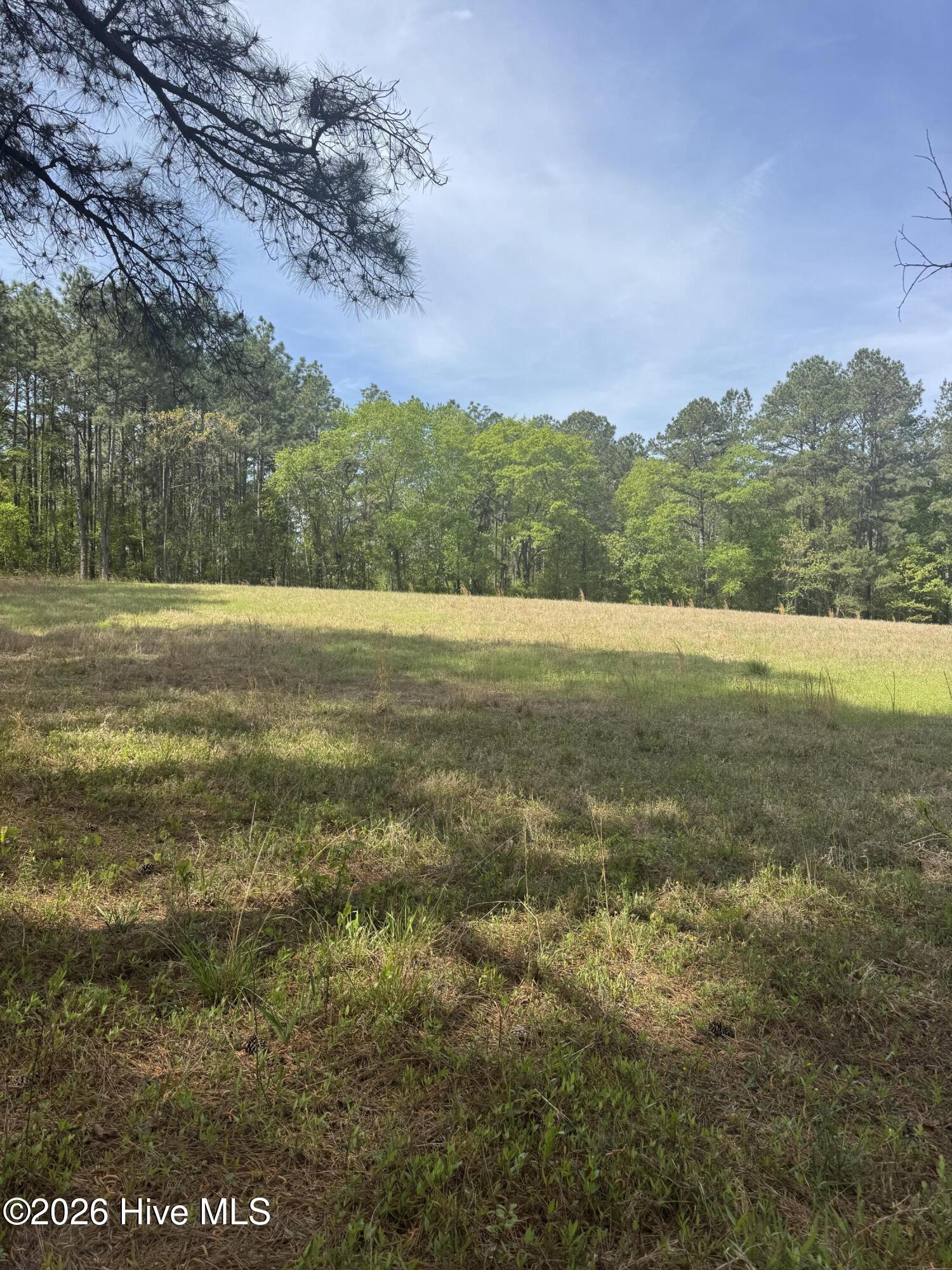 490 Springhill Church Road, Hamlet, NC, 28345