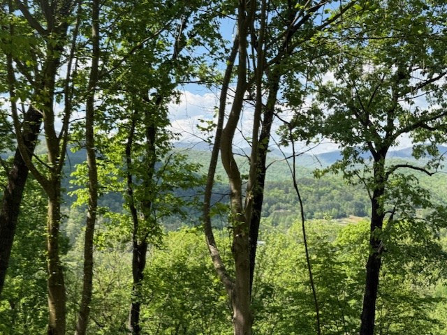 Exterior photo of Lot 43 Silo View, Marble, NC 28905. MLS: 98544400