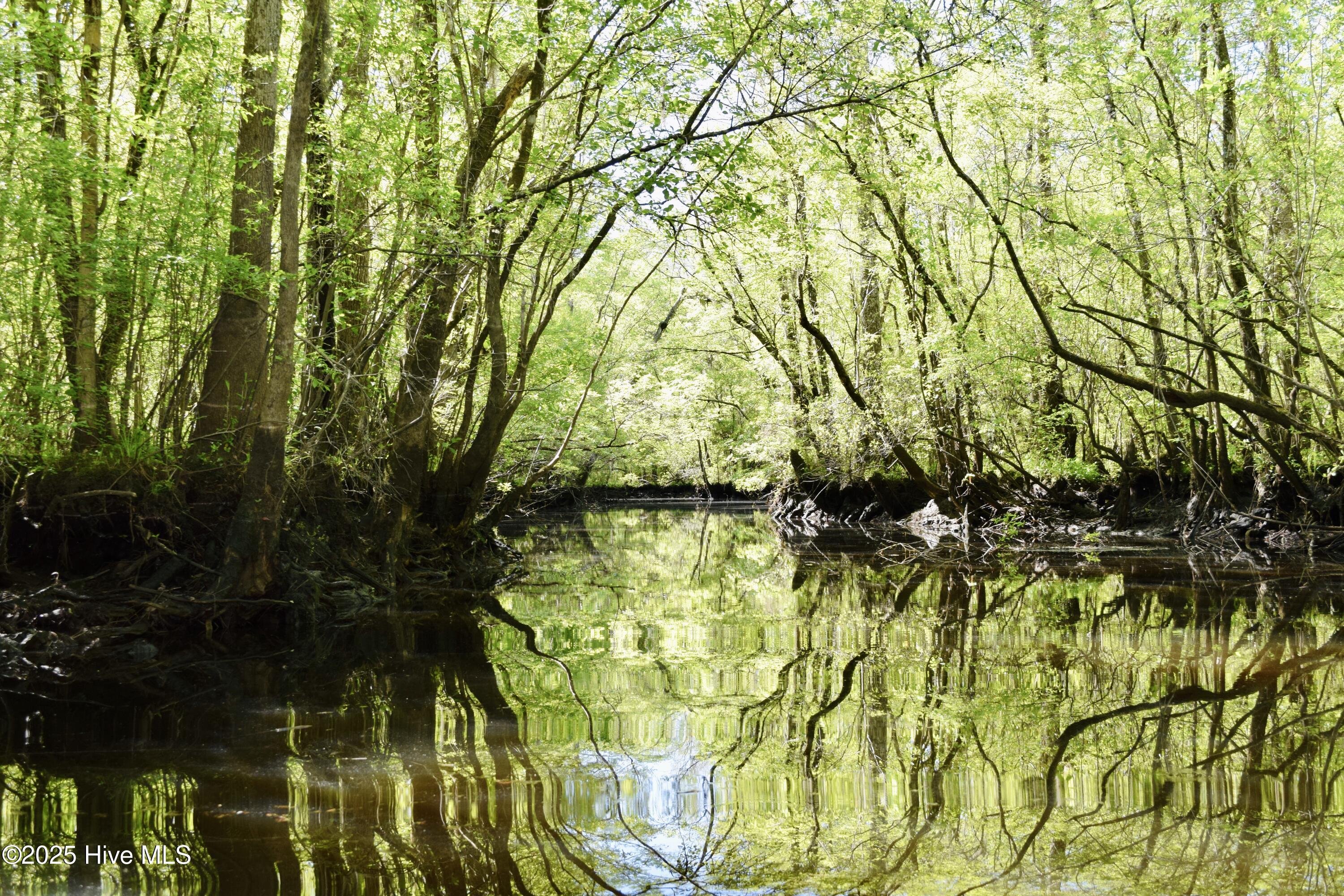 100502660 | Photo 47