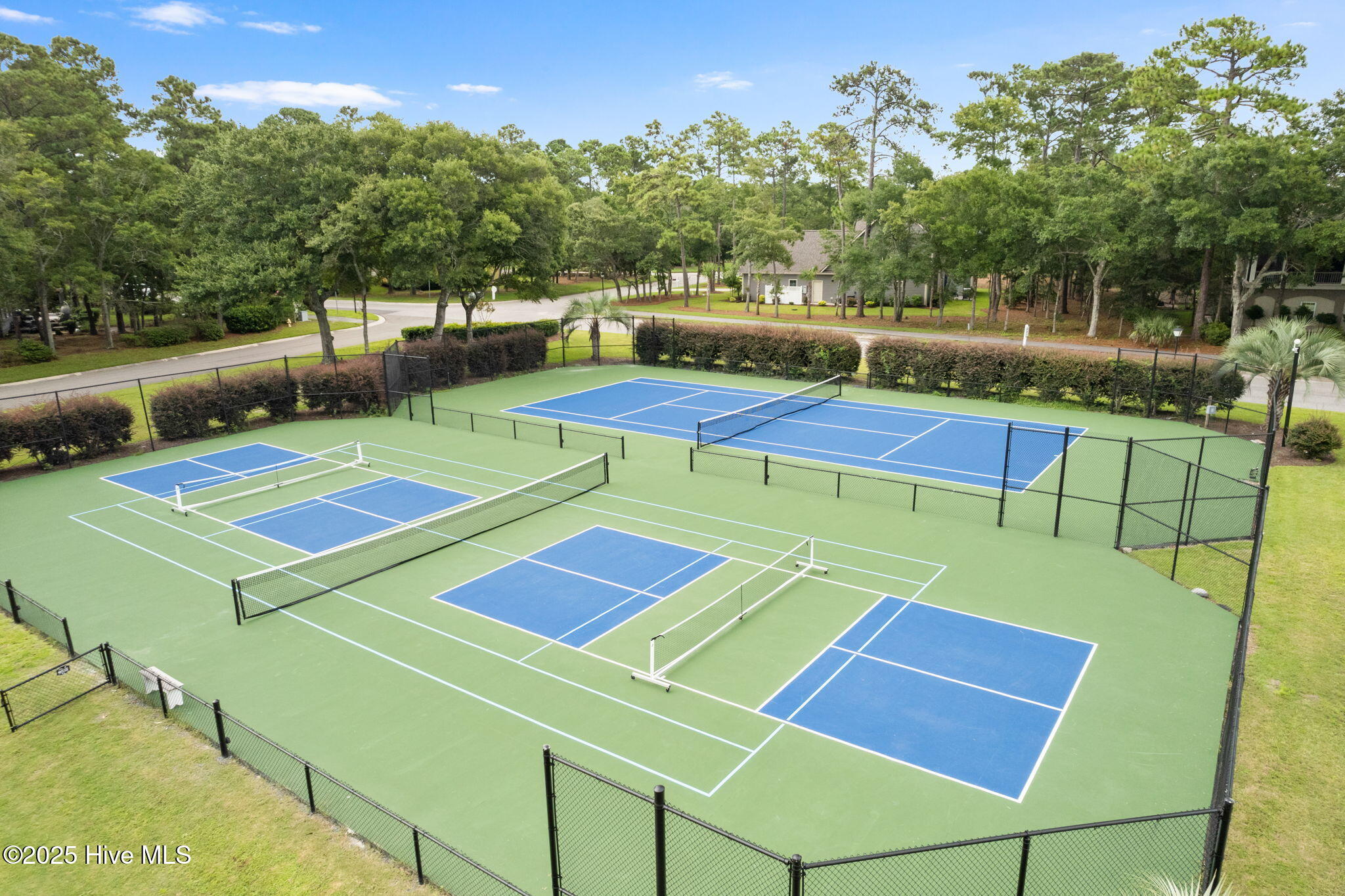 100535122 | Photo 35