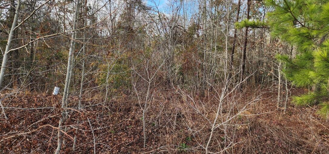 2664 NEW HOPE Circle, Hephzibah, GA, 30815