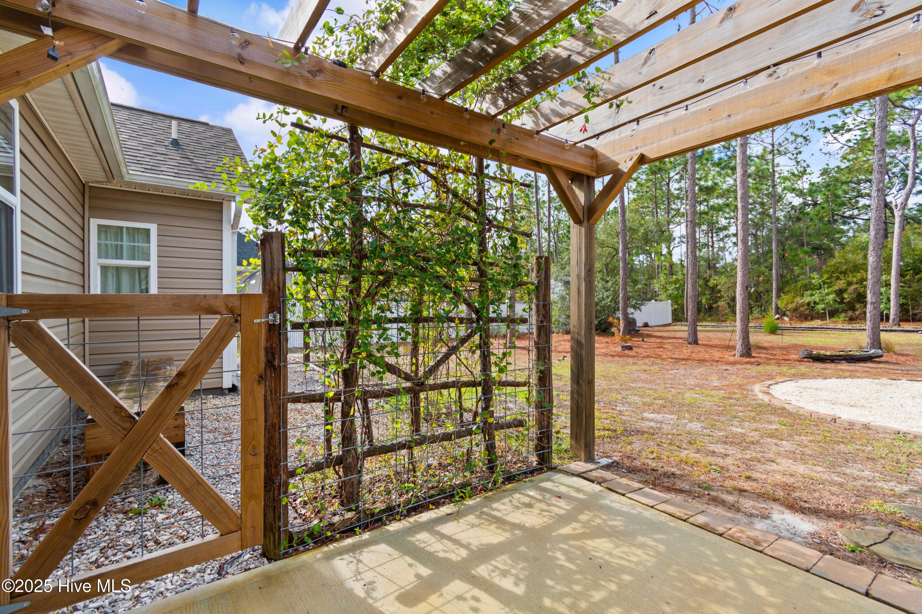 100539694 | Photo 28