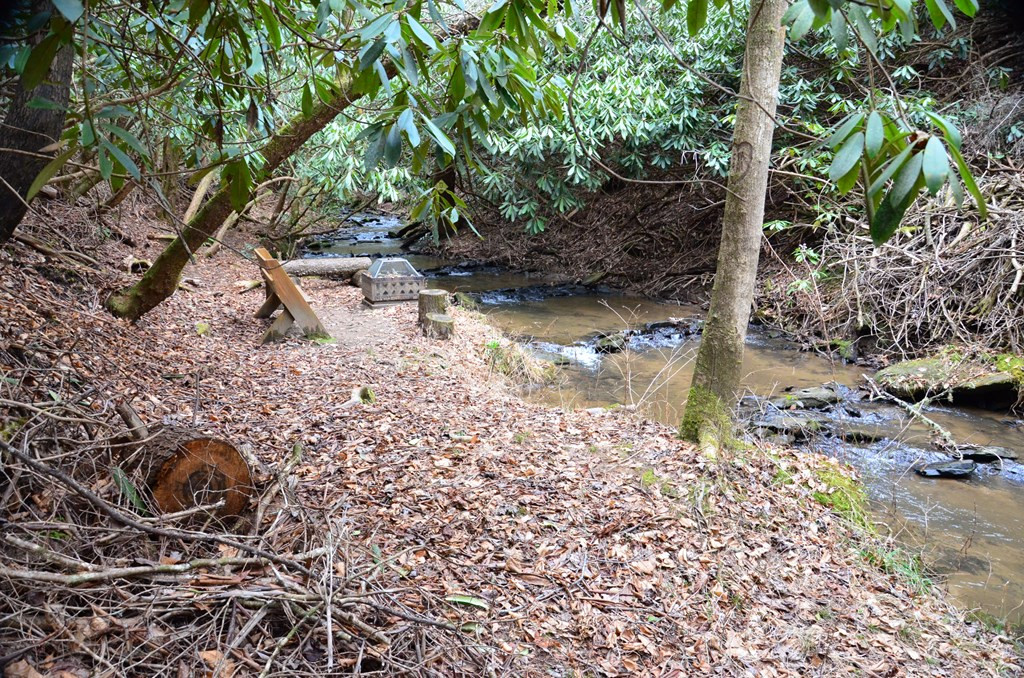 483 Vineyard Creek Way, Murphy, NC 28906 Listing Photo  78