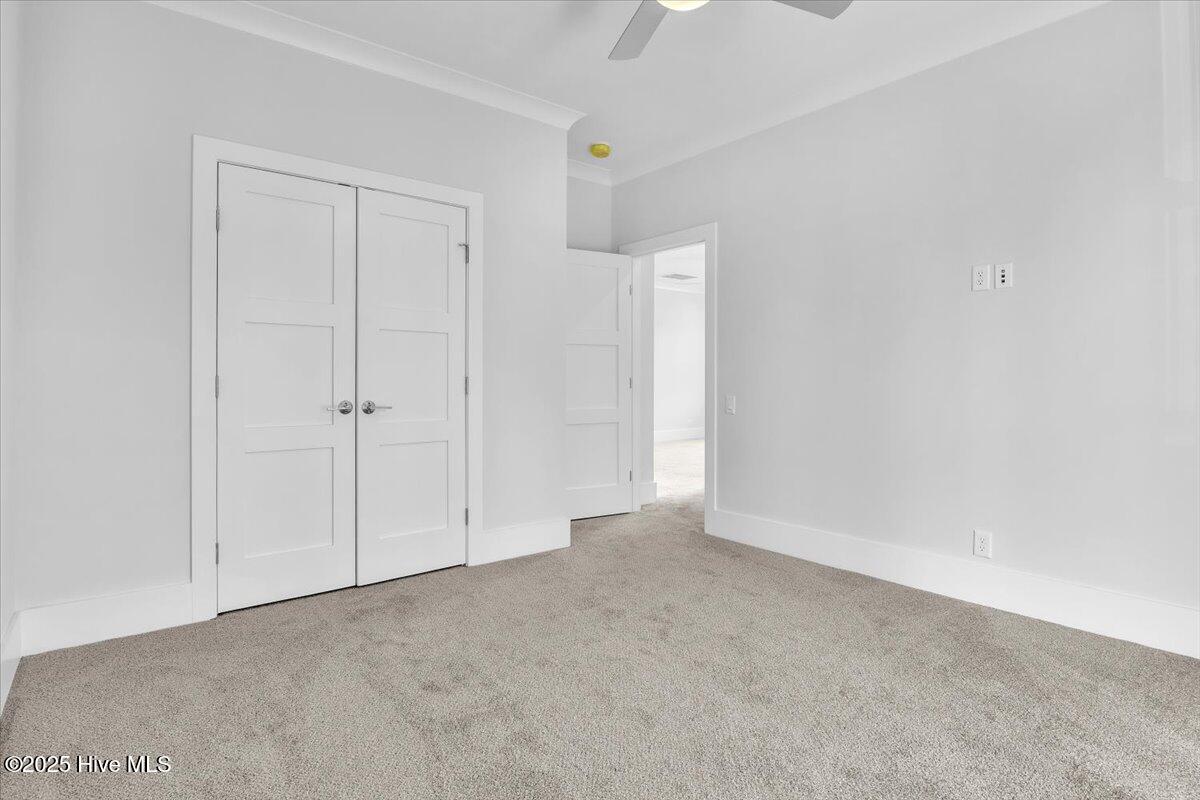 100495724 | Photo 51