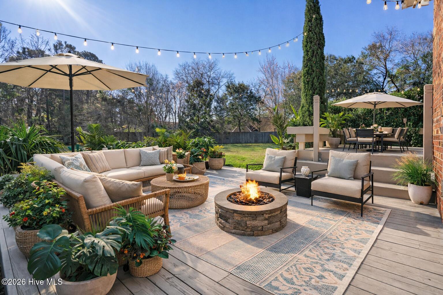 100556381 | Photo 41