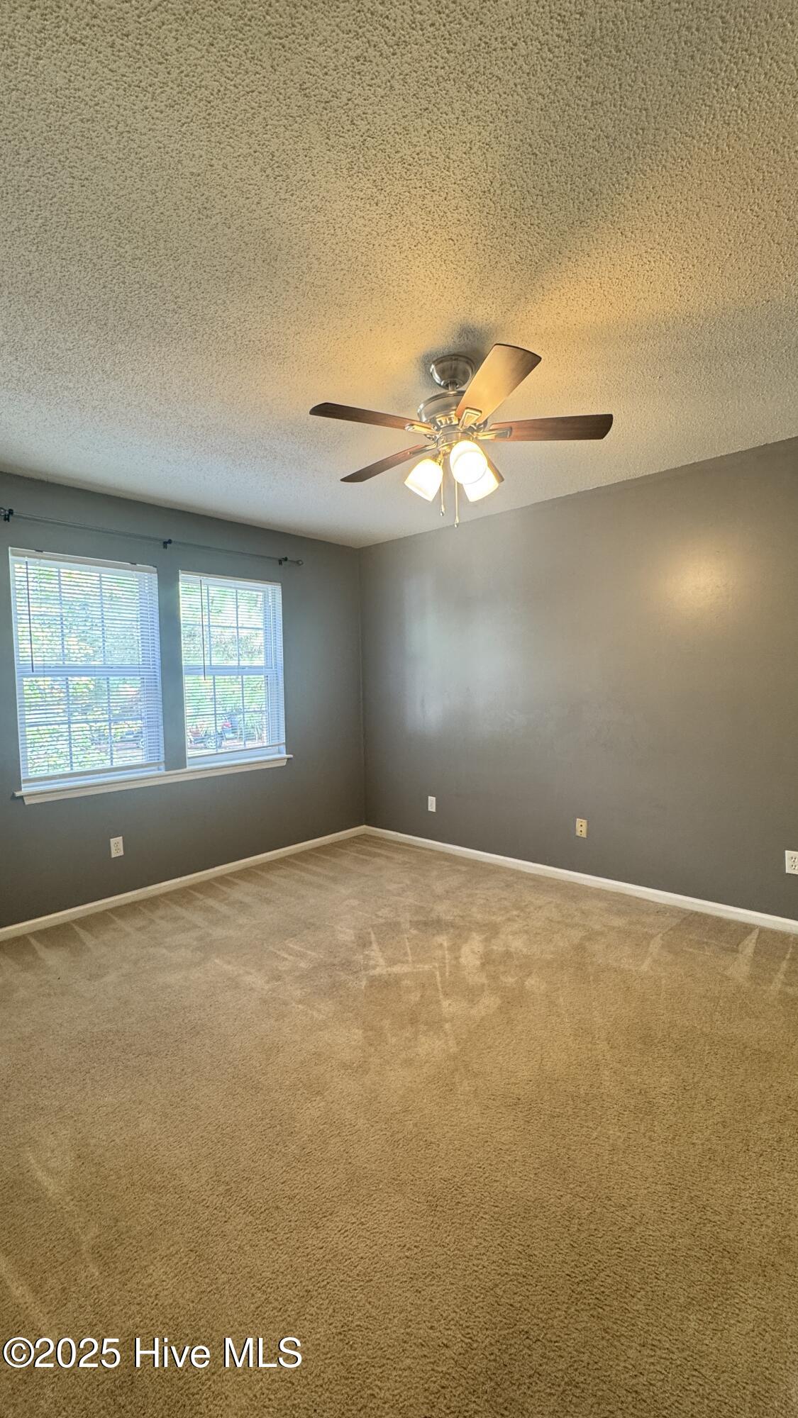 100529740 | Photo 10