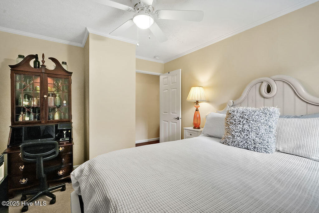 100521494 | Photo 35