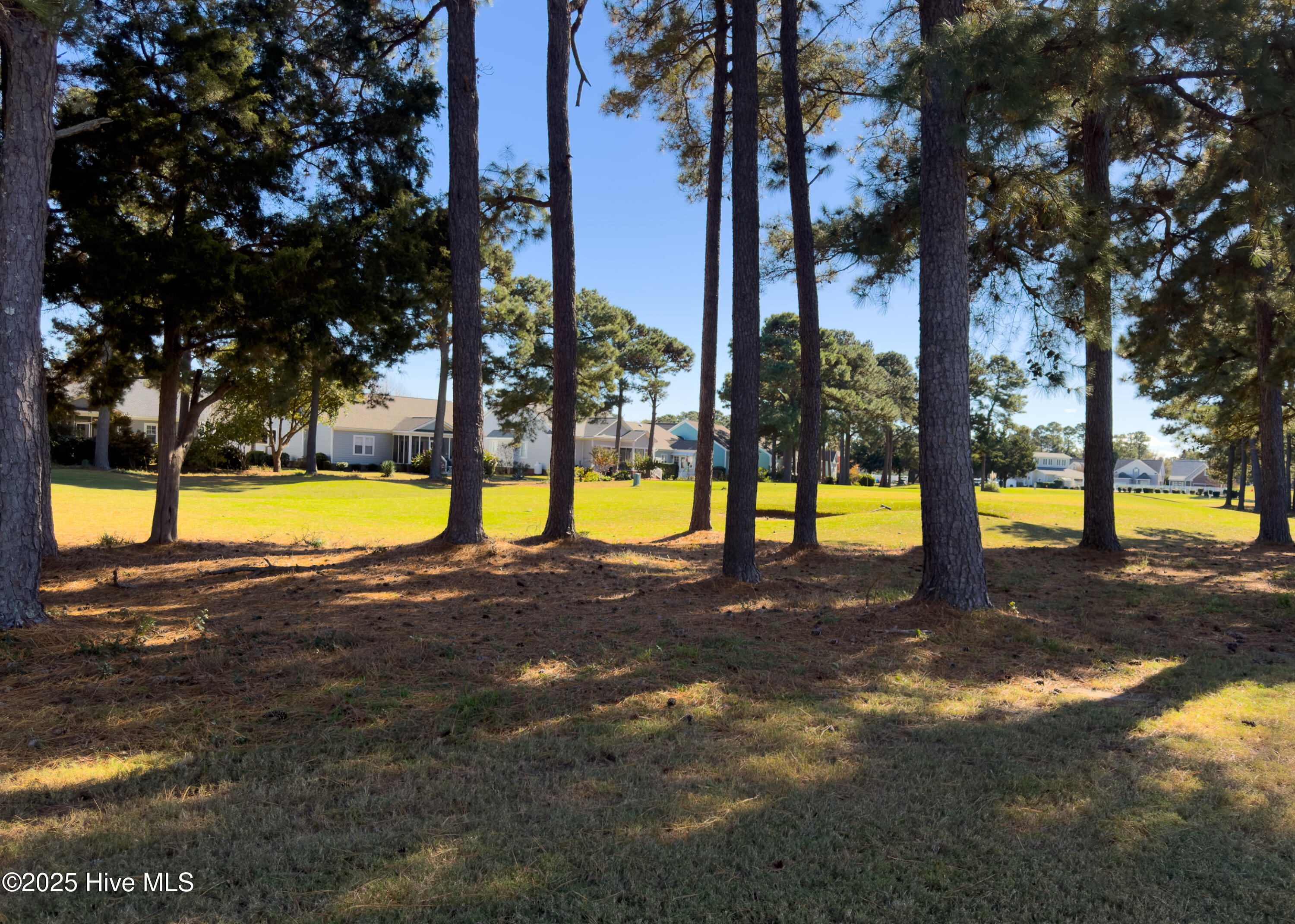 100540953 | Photo 27