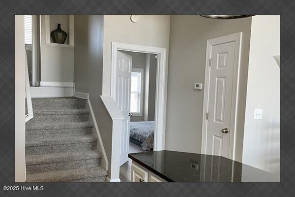 100546562 | Photo 30