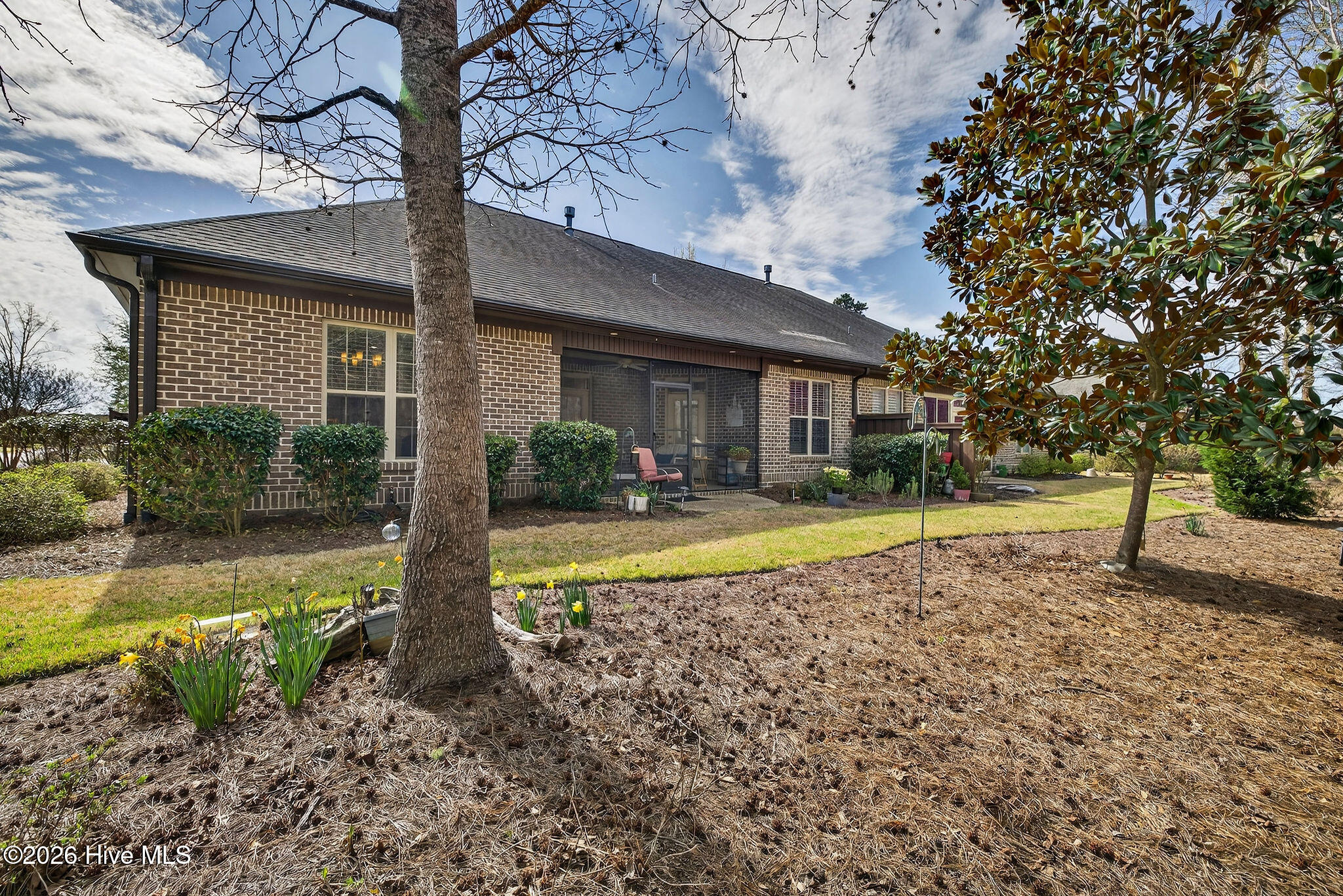 100560039 | Photo 36