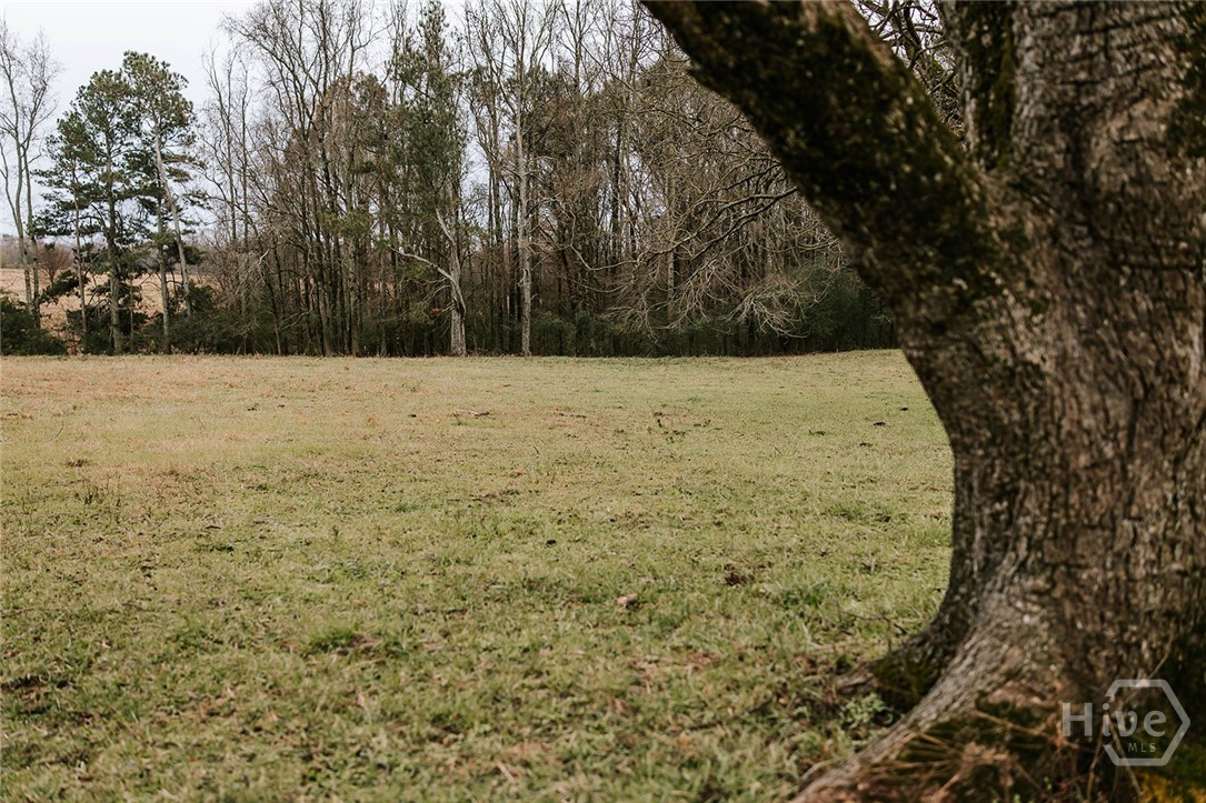 0 Sandy Cross Road, Lexington, GA, 30648