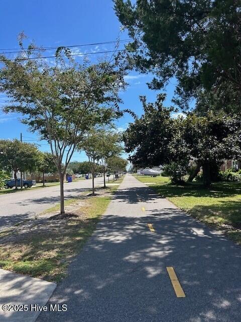 100557788 | Photo 81