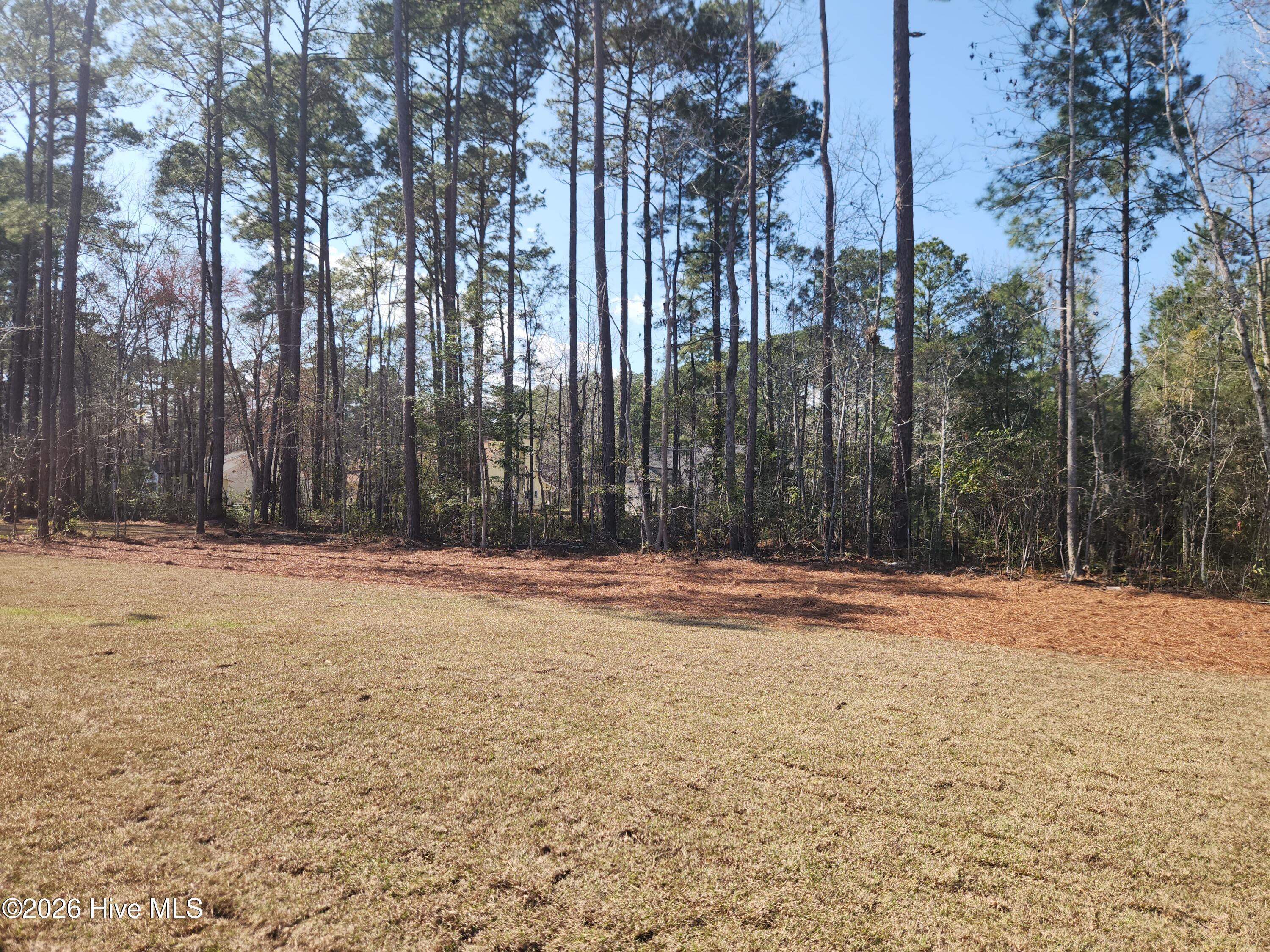 100559285 | Photo 50