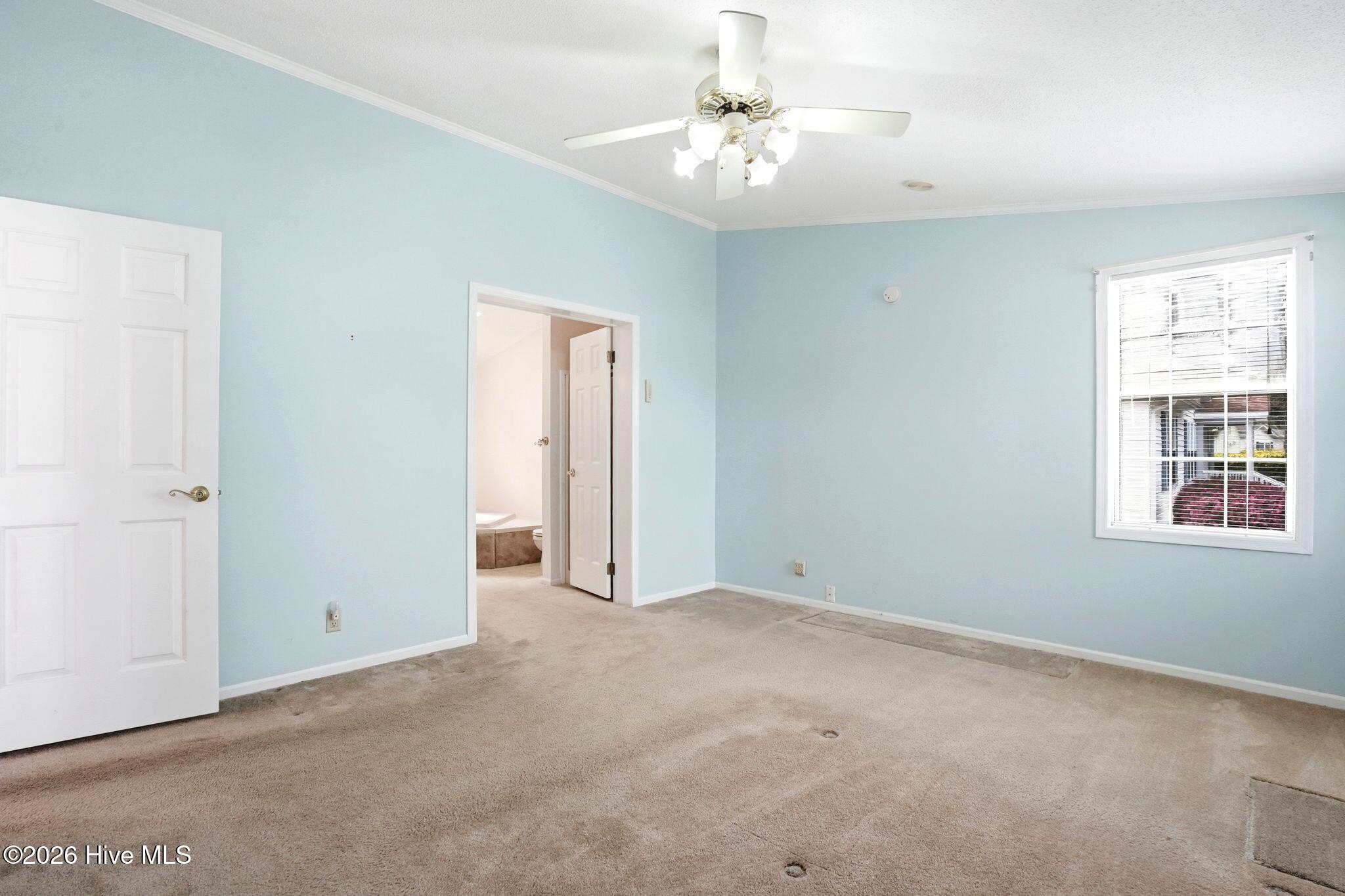 100561756 | Photo 52