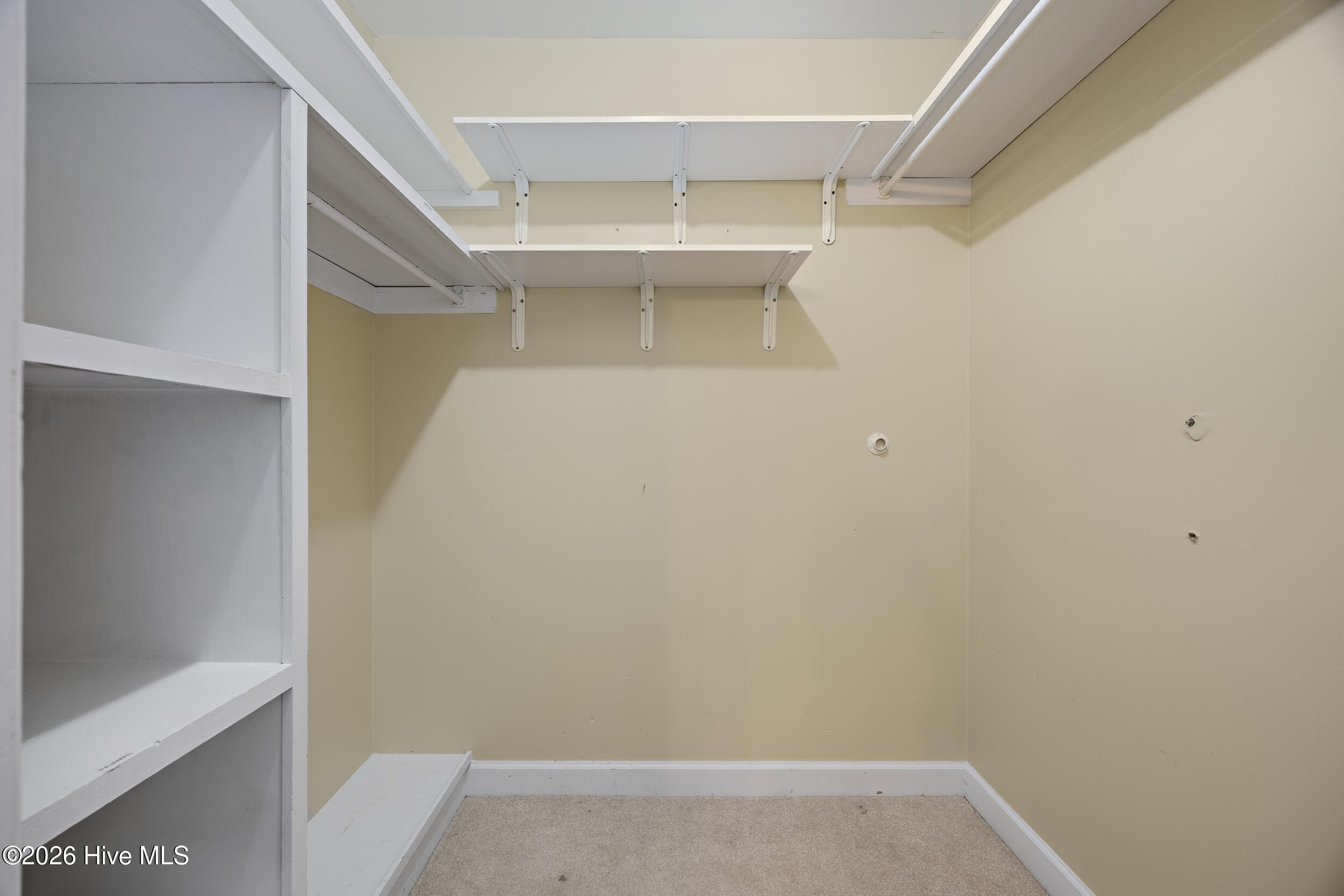 100558264 | Photo 29