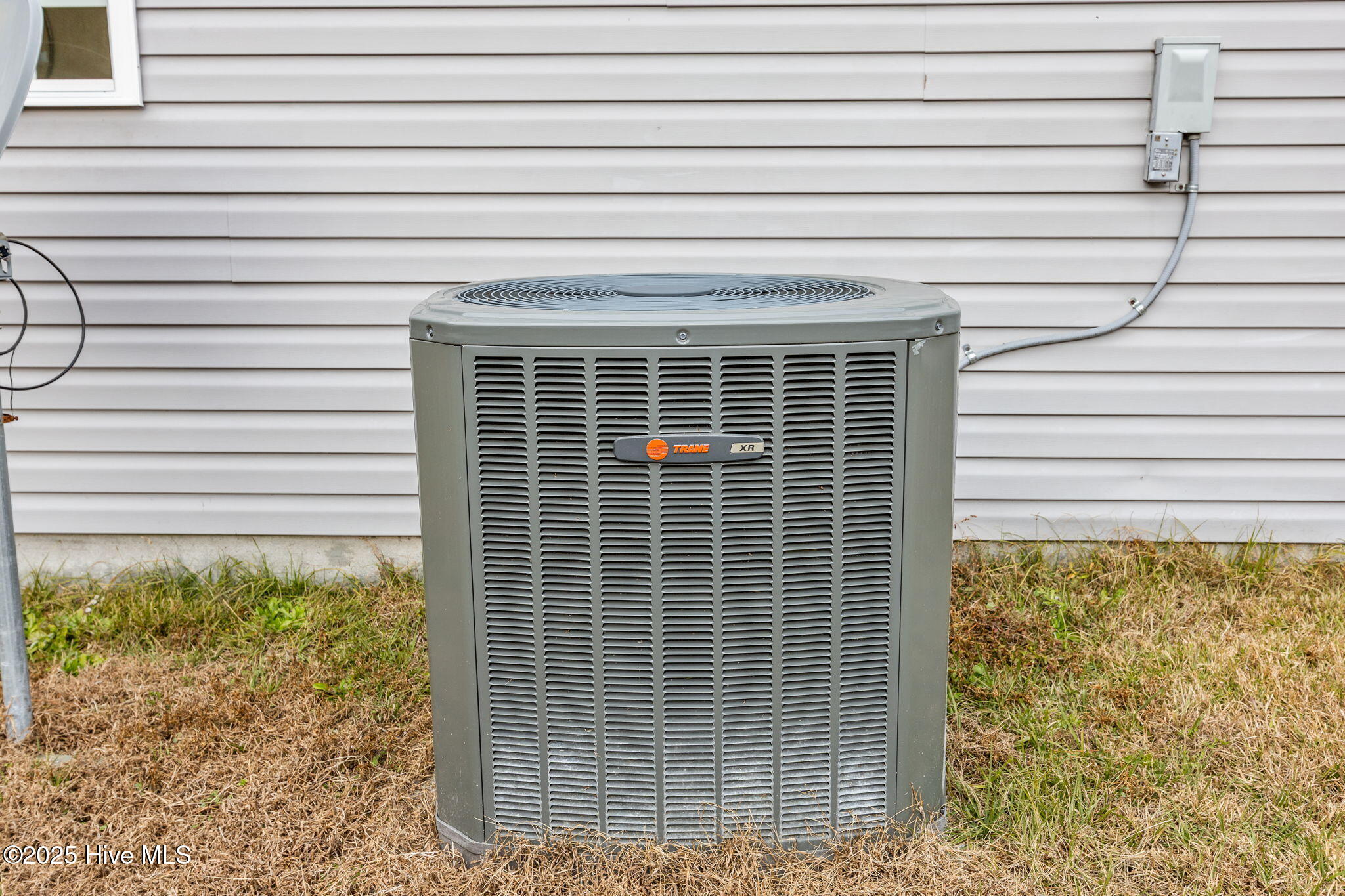 100545906 | Photo 42