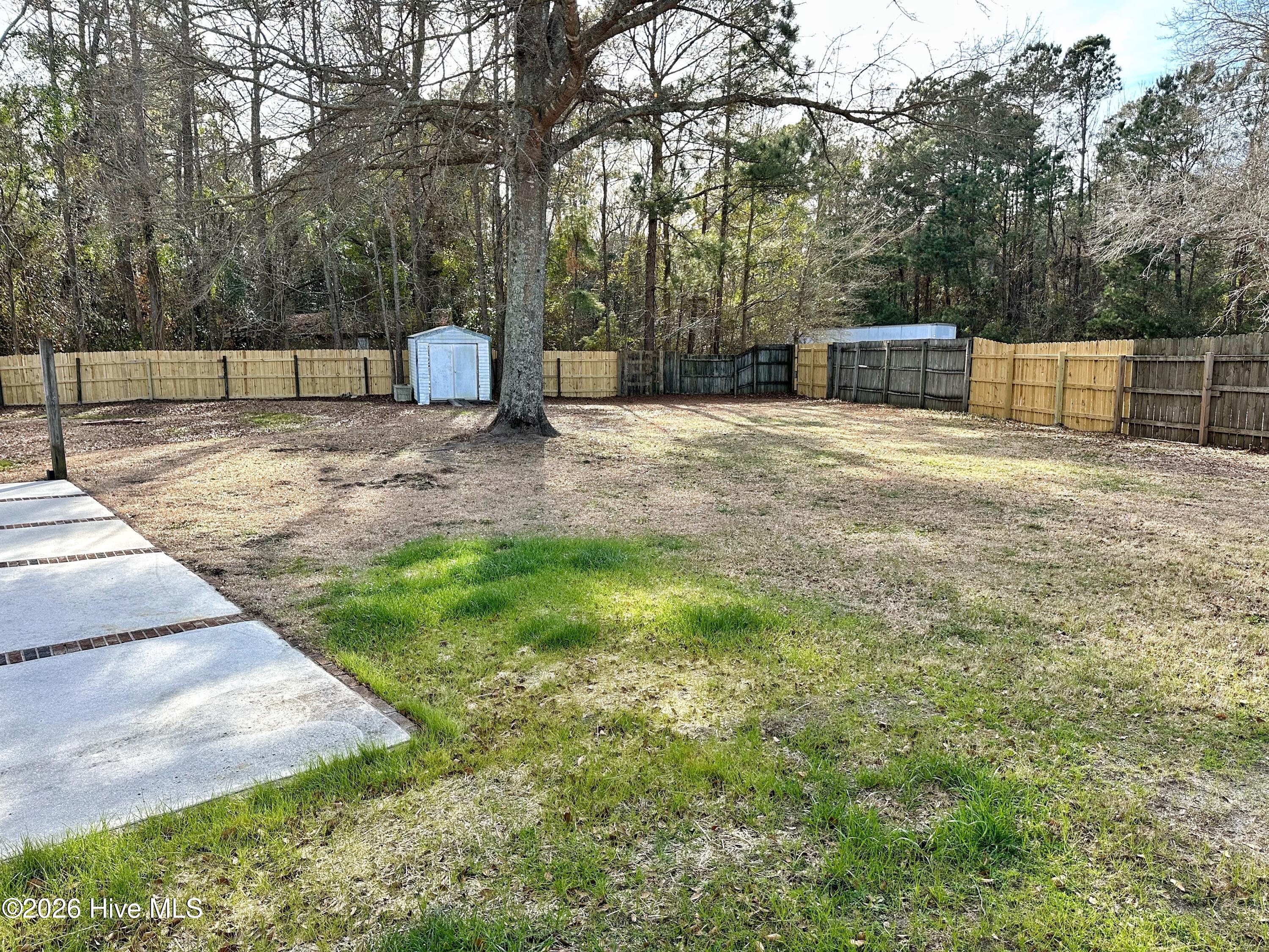 100551305 | Photo 43