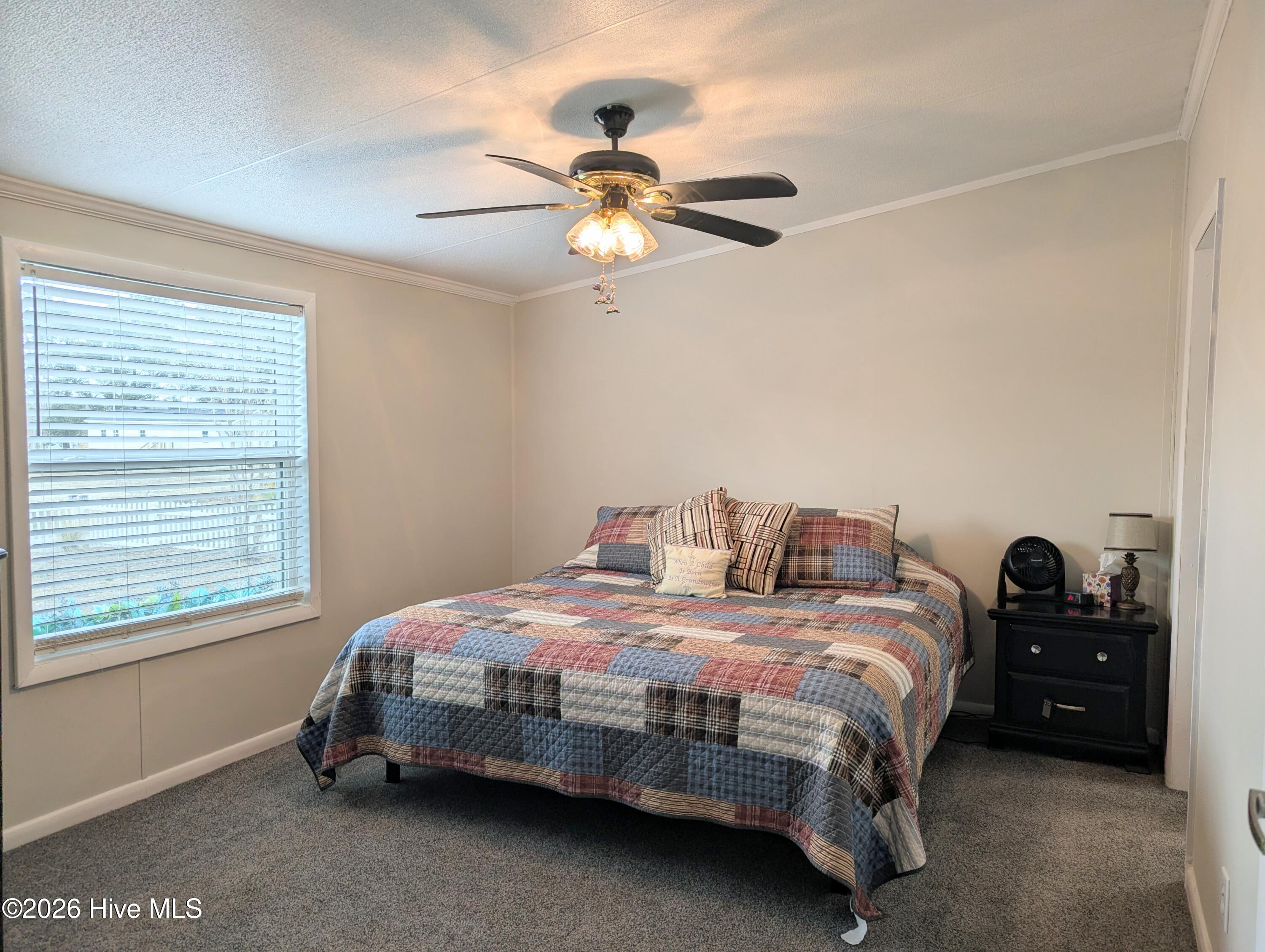 100556092 | Photo 12