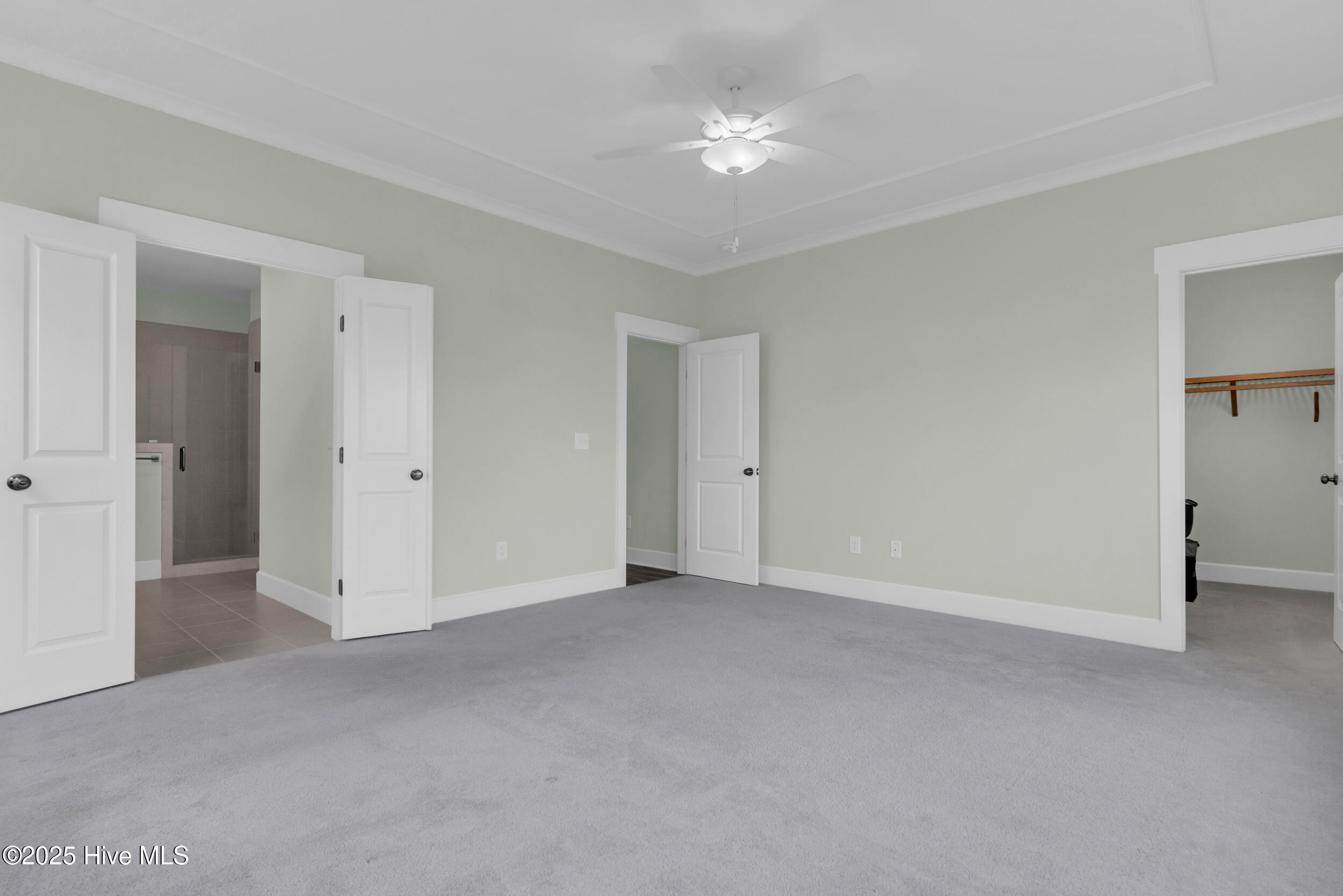 100535335 | Photo 18