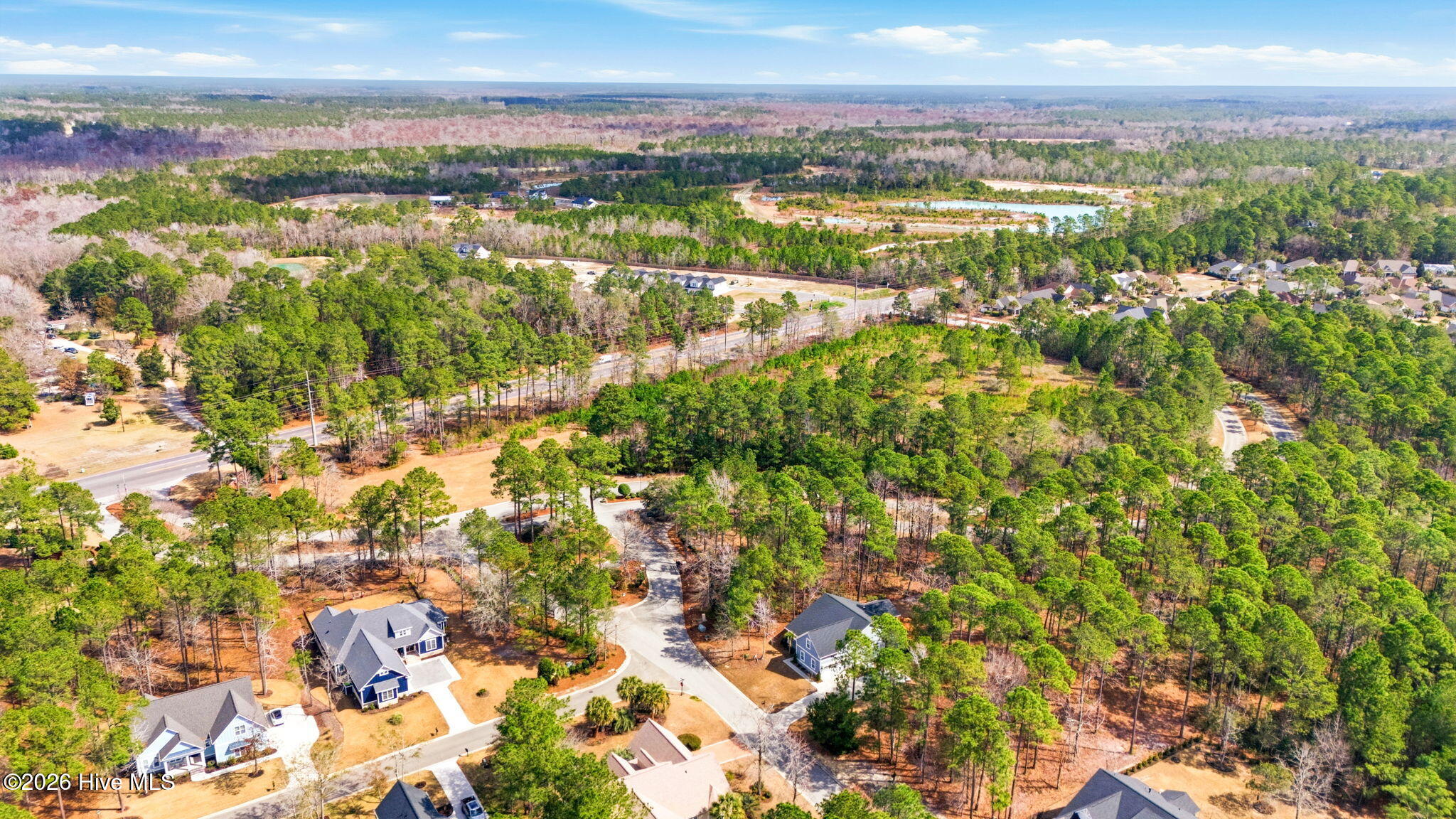 100558607 | Photo 59