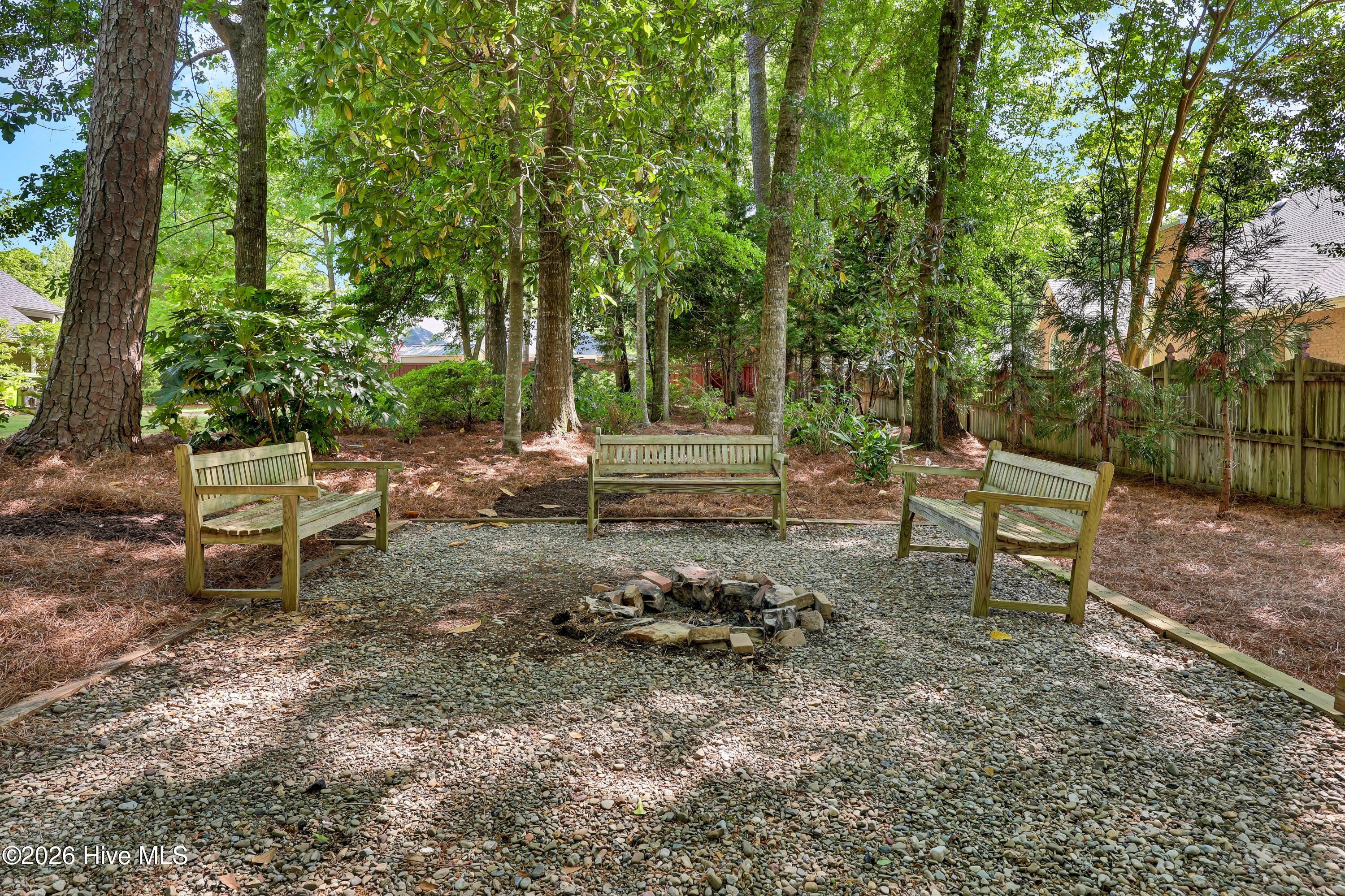 100569392 | Photo 43