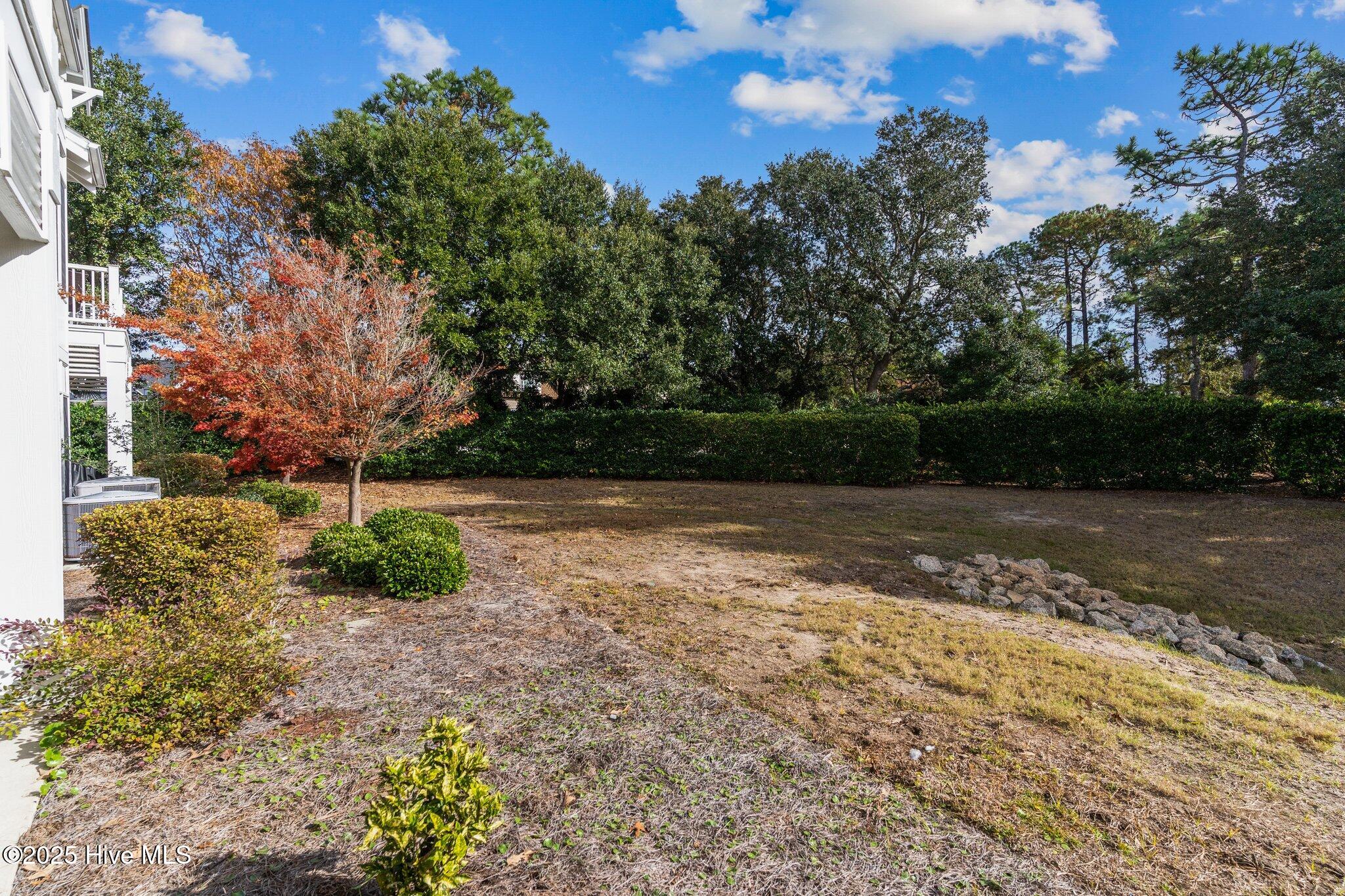 100542732 | Photo 40