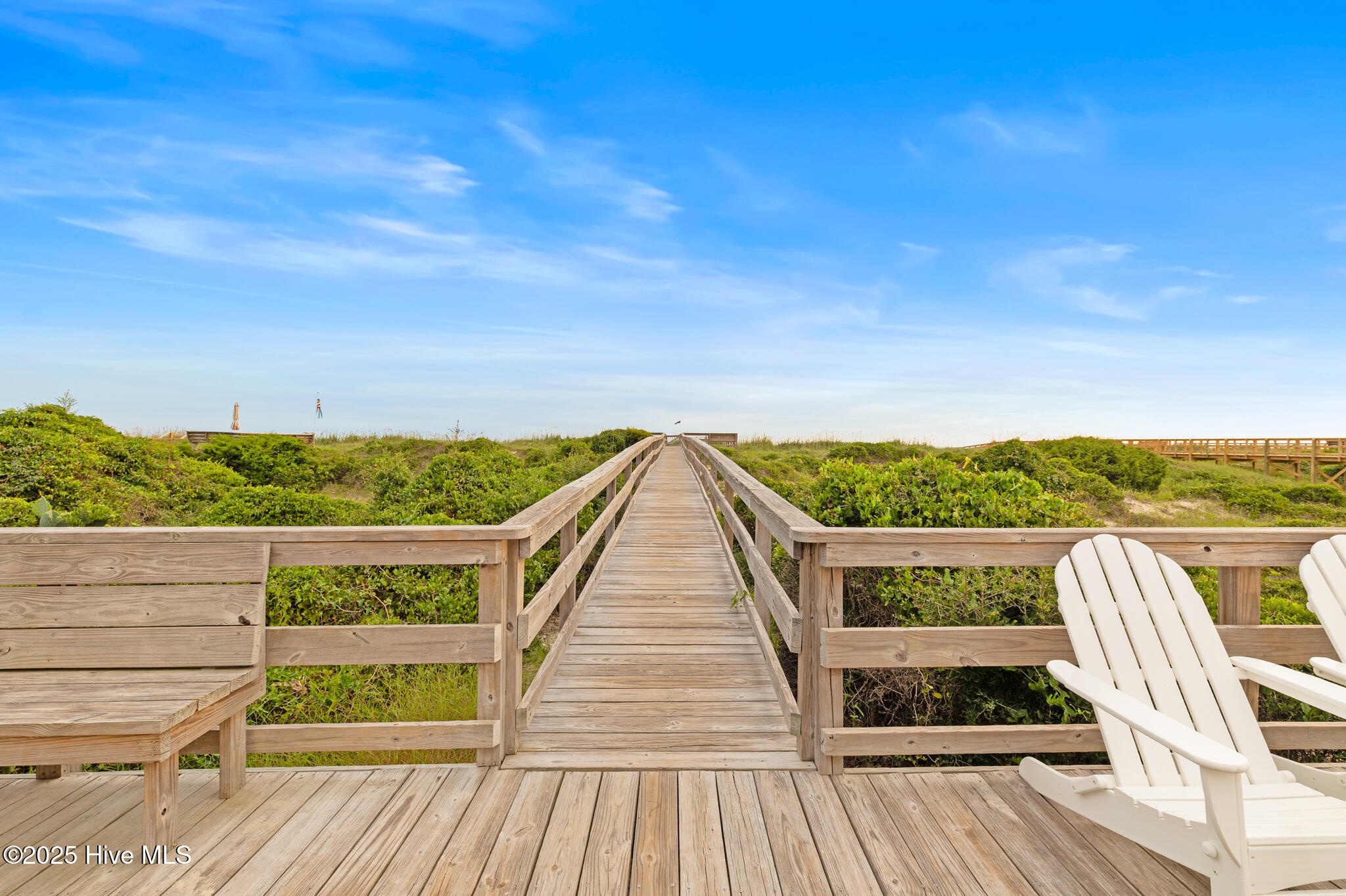 100531510 | Photo 23