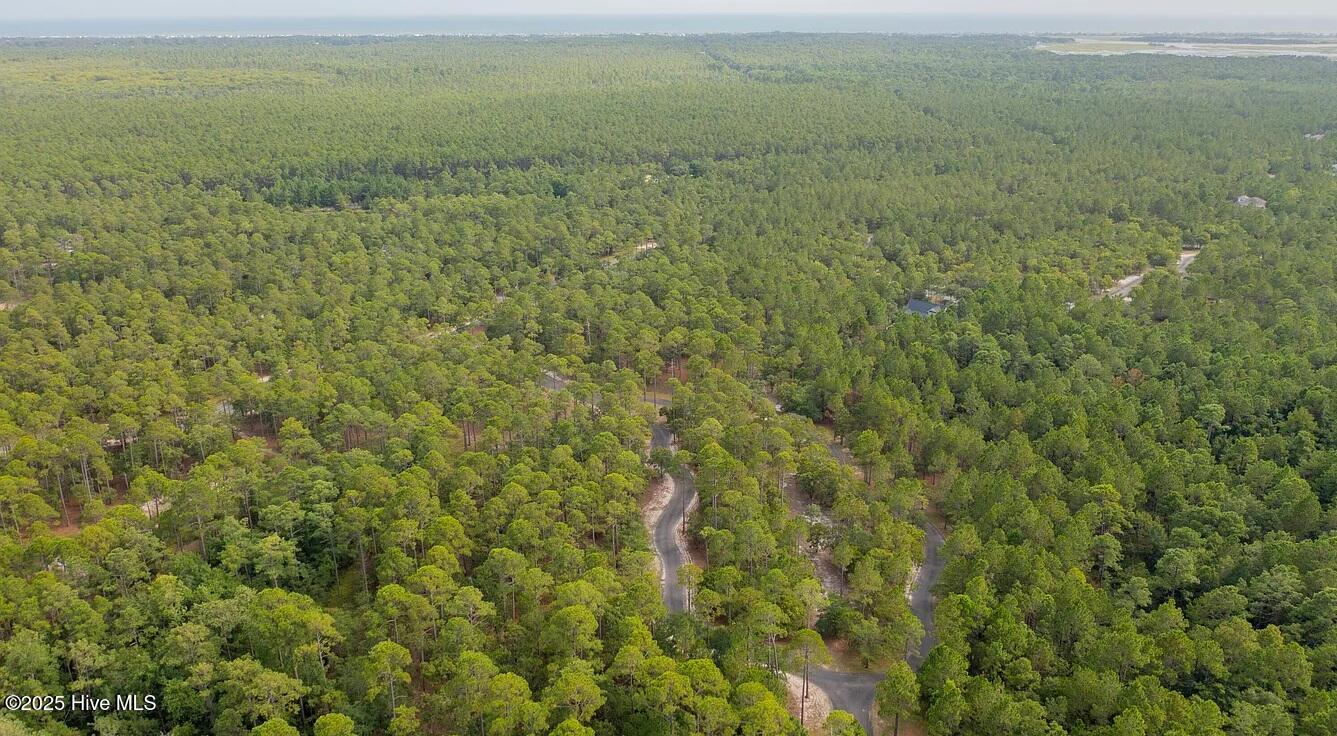 100537919 | Photo 15