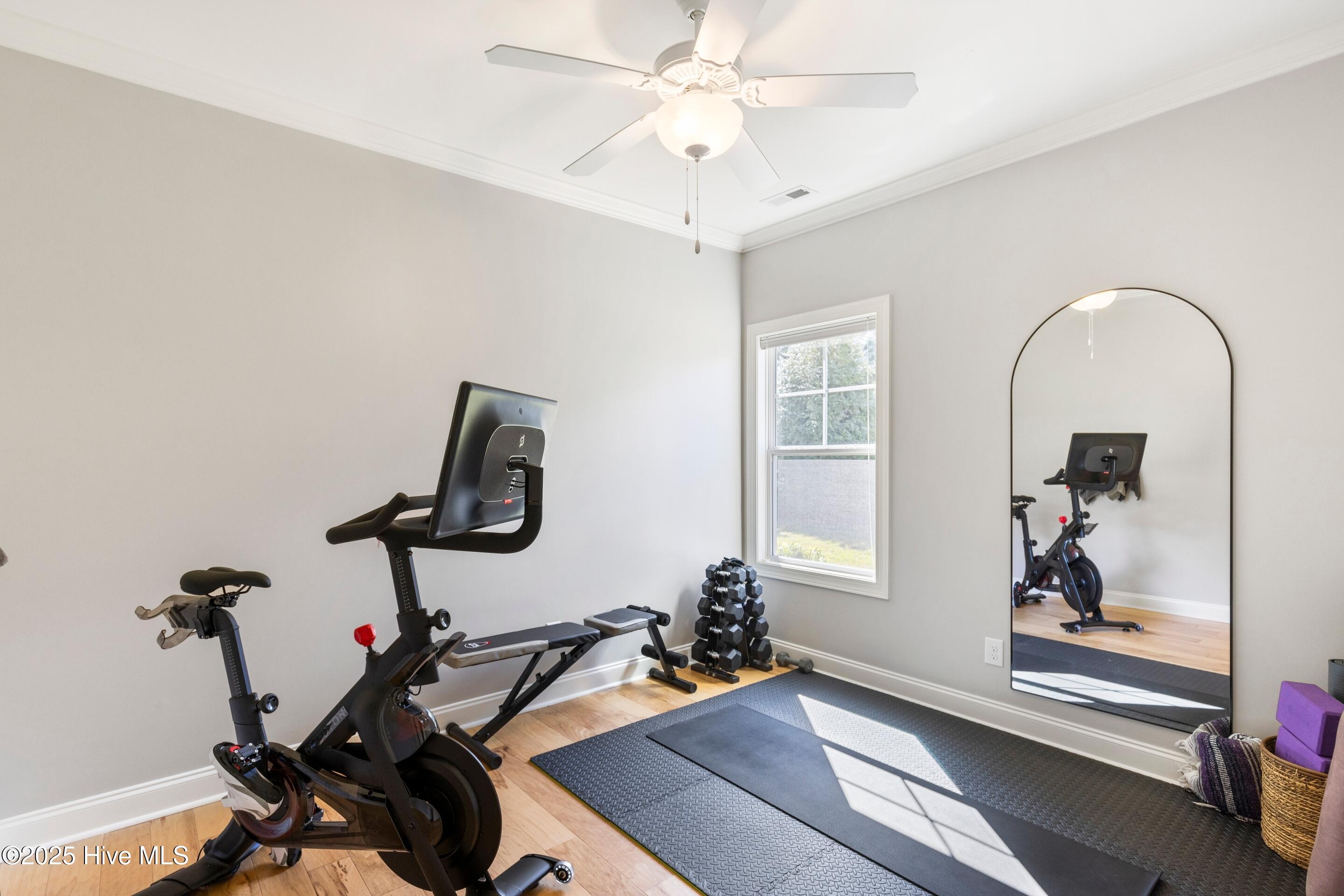 100537619 | Photo 29