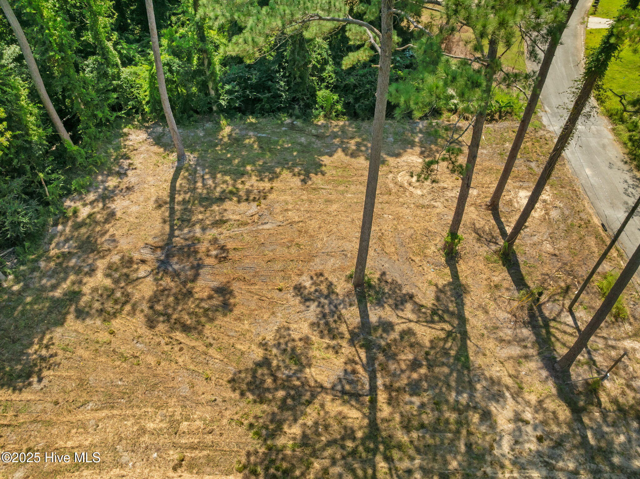 100529346 | Photo 14