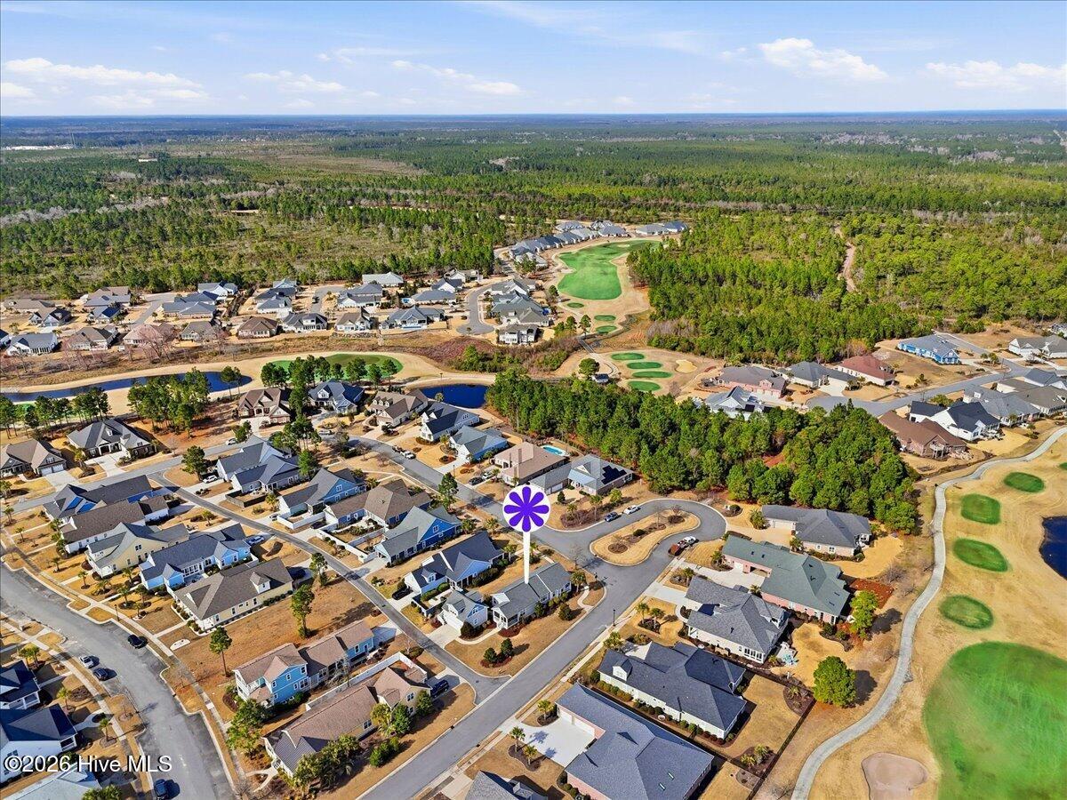 100558839 | Photo 76