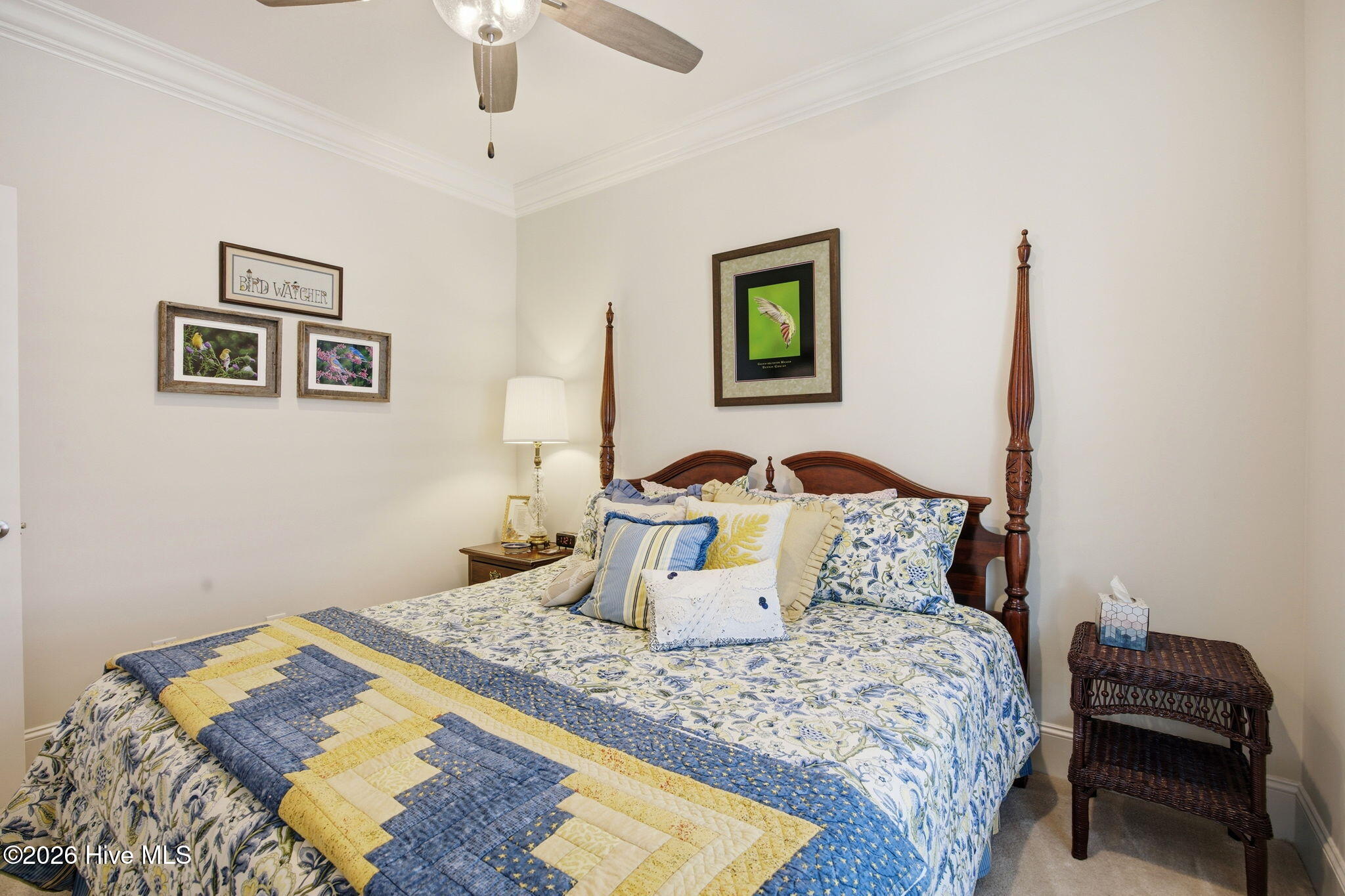 100569856 | Photo 27