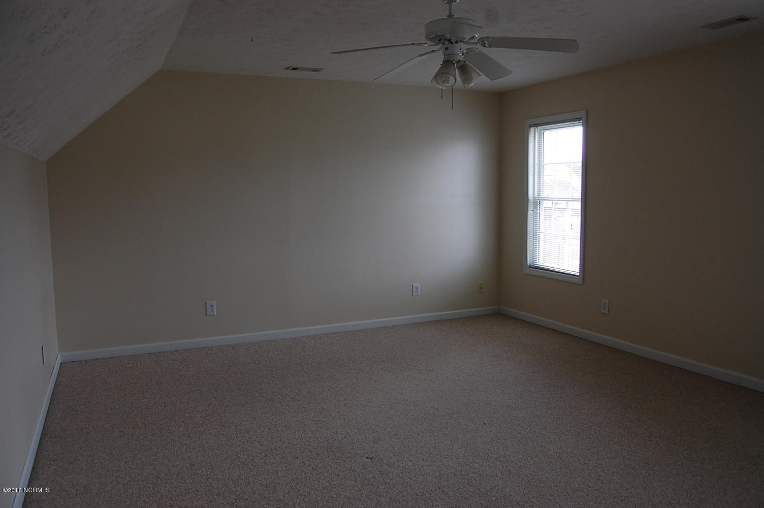 100540456 | Photo 21