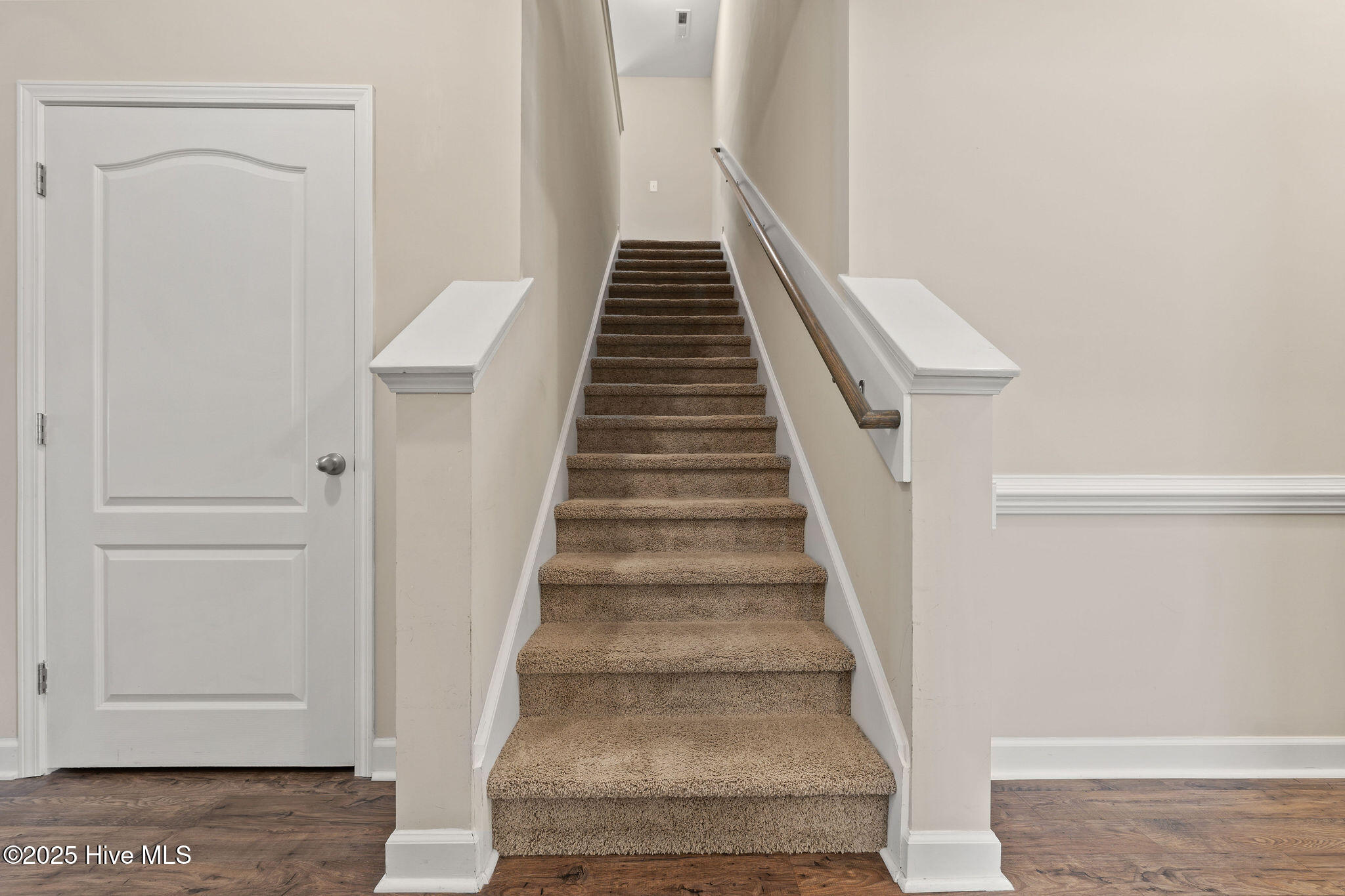 100513961 | Photo 31