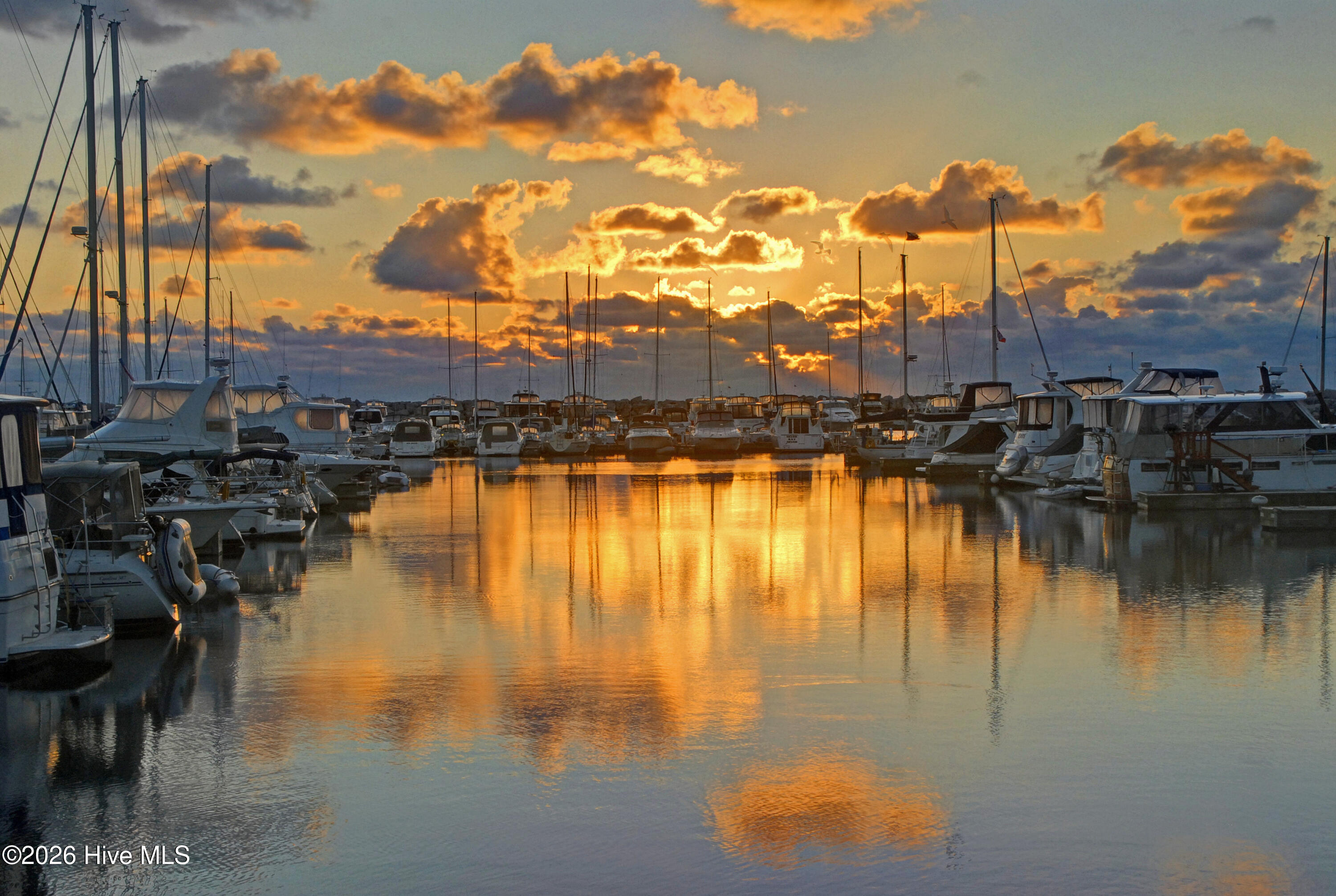 100564993 | Photo 71