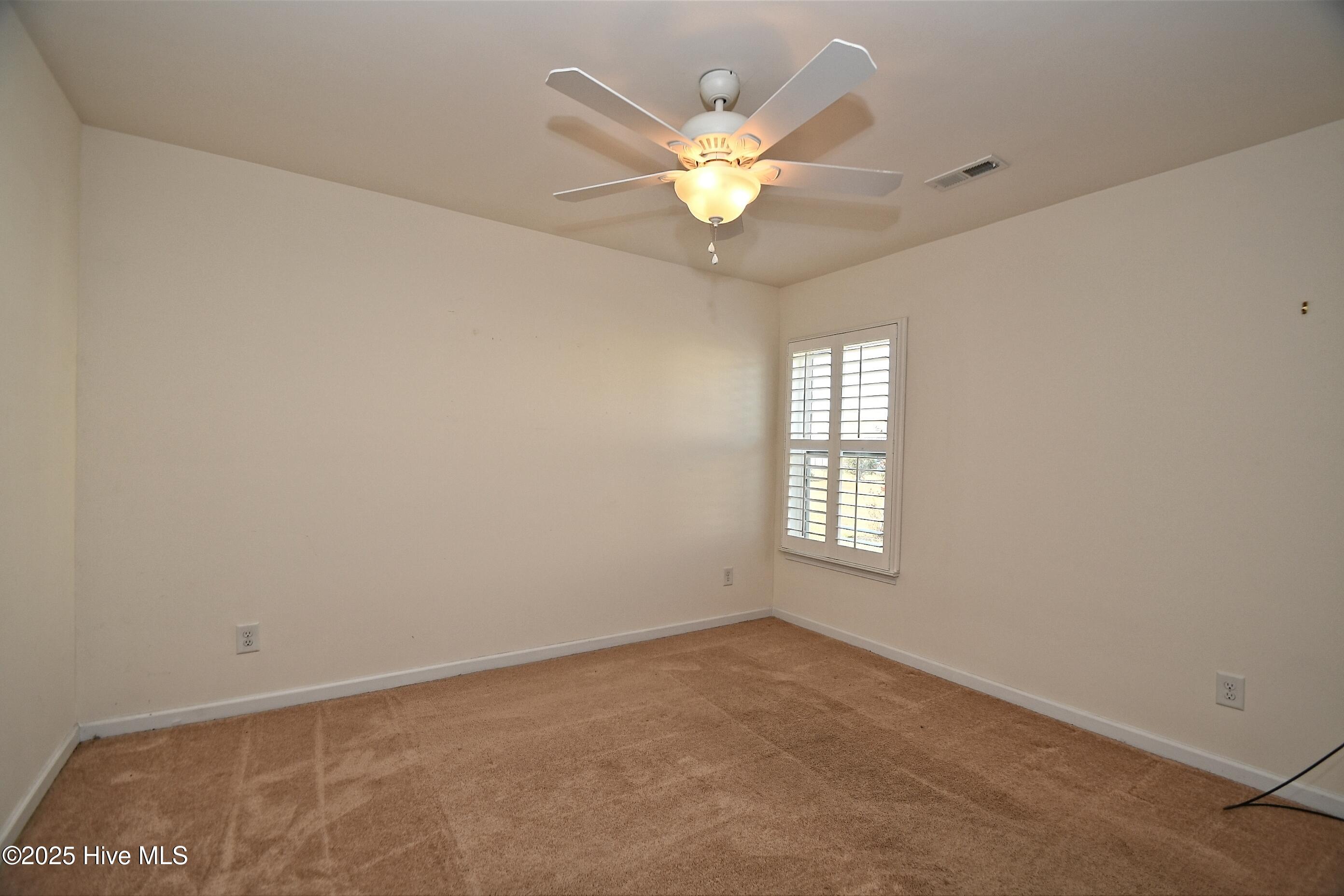 100538735 | Photo 11